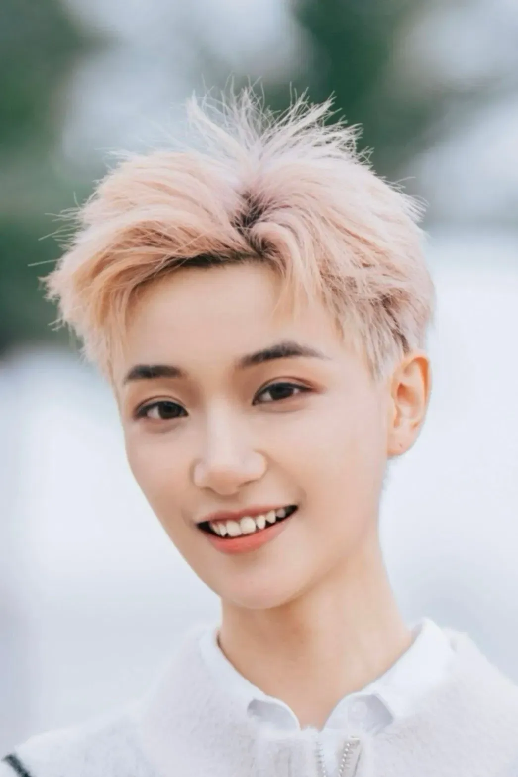 Đoàn Cảnh Dịch