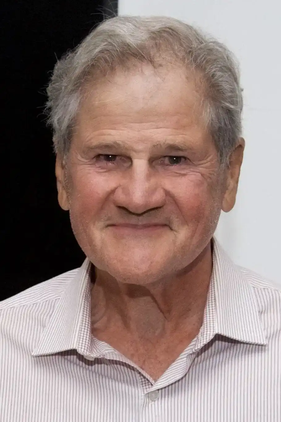 Stephen Mendillo