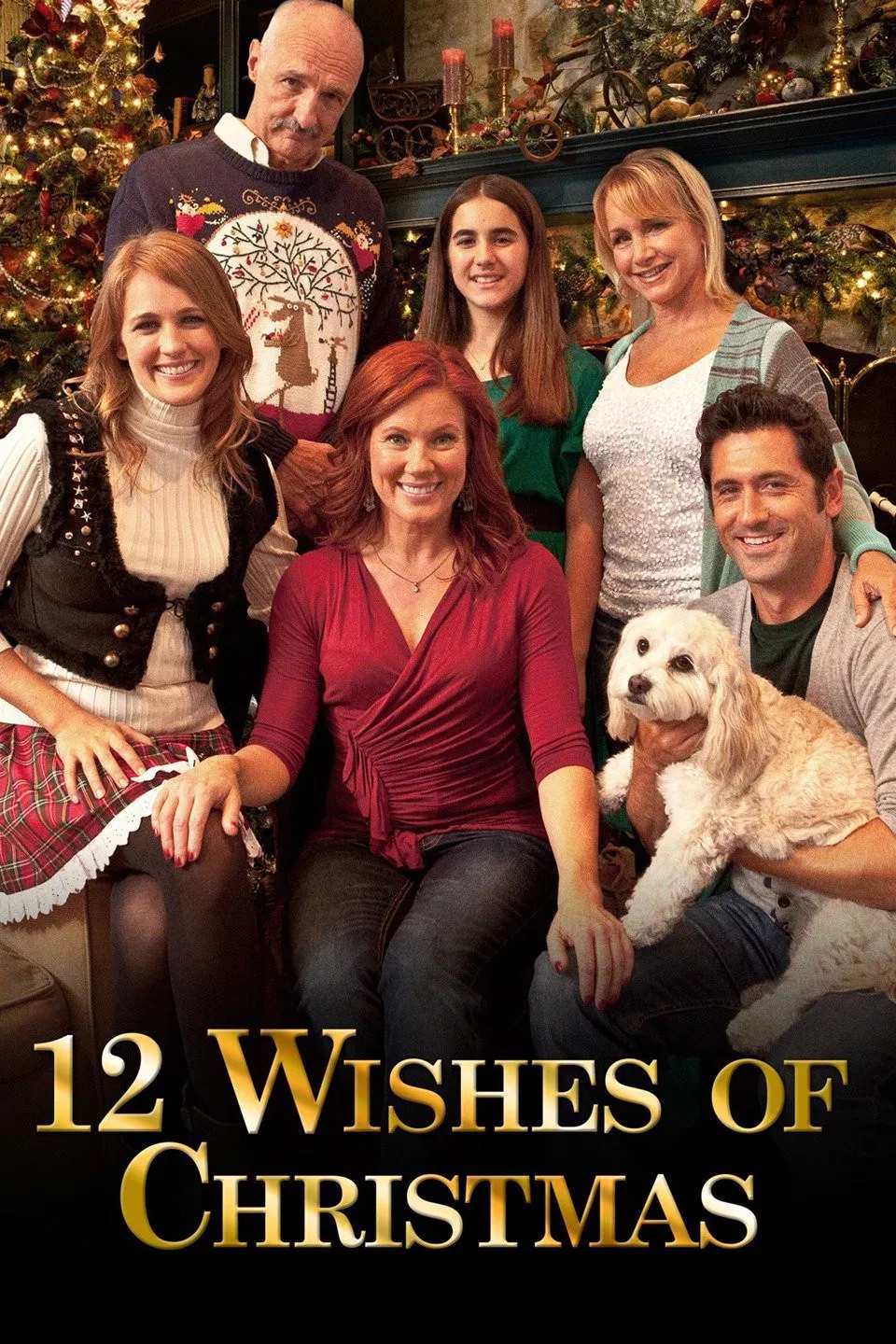 Poster chính thức của phim Phim Hài, Phim Giả Tượng "12 Điều Ước Giáng Sinh" (12 Wishes of Christmas - 2011), với sự tham gia của diễn viên Elisa Donovan và Gabrielle Carteris.