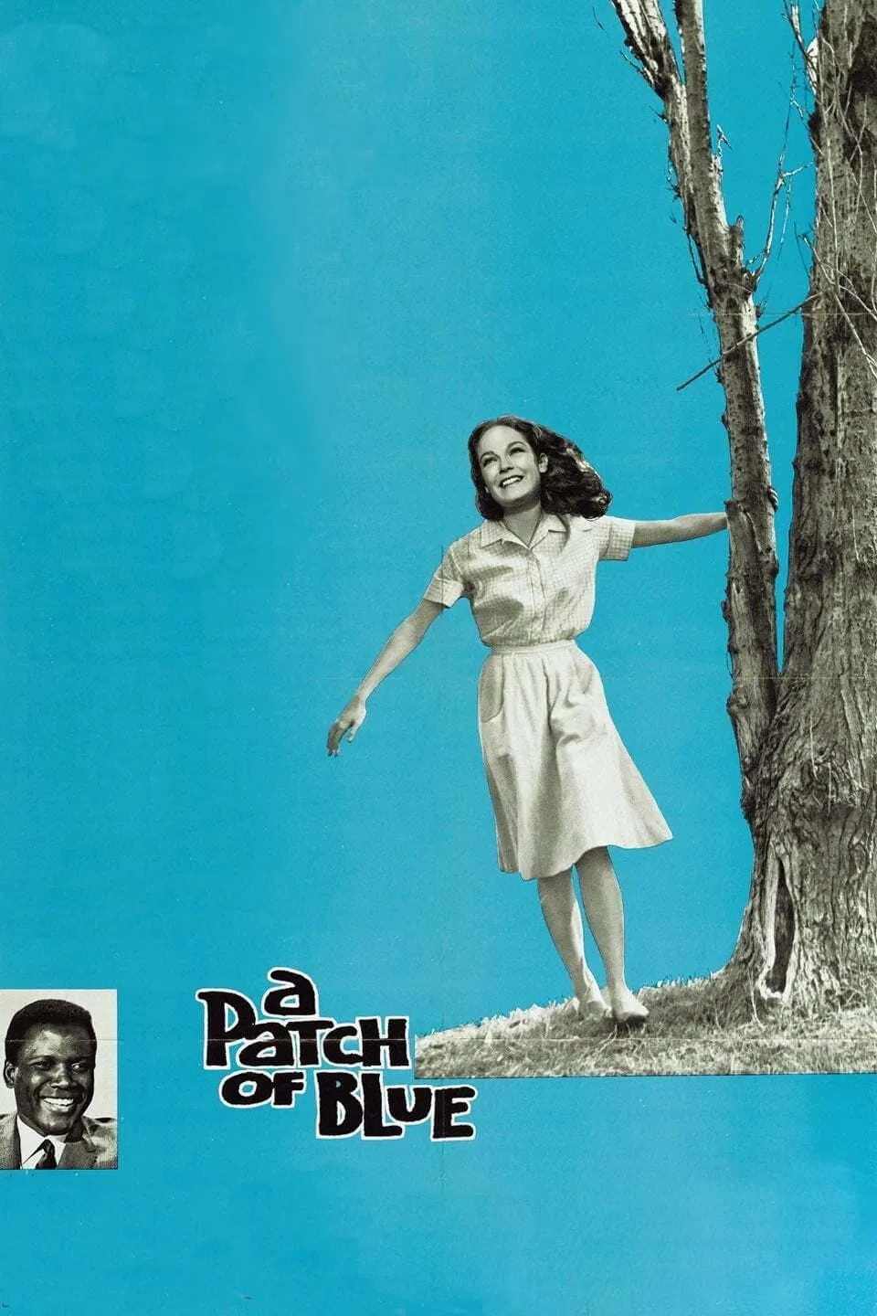 Poster chính thức của phim Phim Tâm Lý, Phim Tình Cảm "A Patch Of Blue" (A Patch of Blue - 1965), với sự tham gia của diễn viên Sidney Poitier và Shelley Winters.