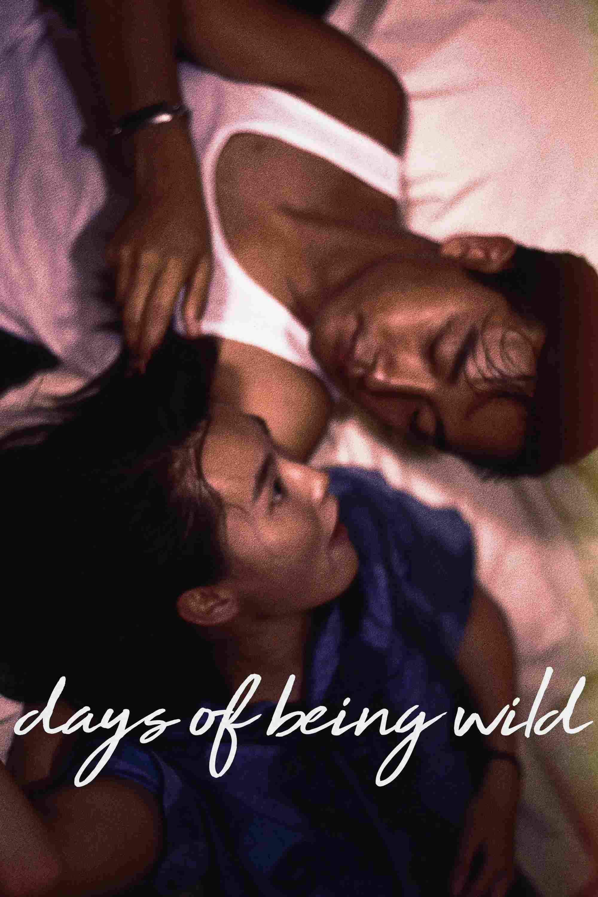 Poster chính thức của phim Phim Hình Sự, Phim Tâm Lý "A Phi Chính Truyện" (Days of Being Wild - 1990), với sự tham gia của diễn viên Trương Quốc Vinh và Trương Mạn Ngọc.