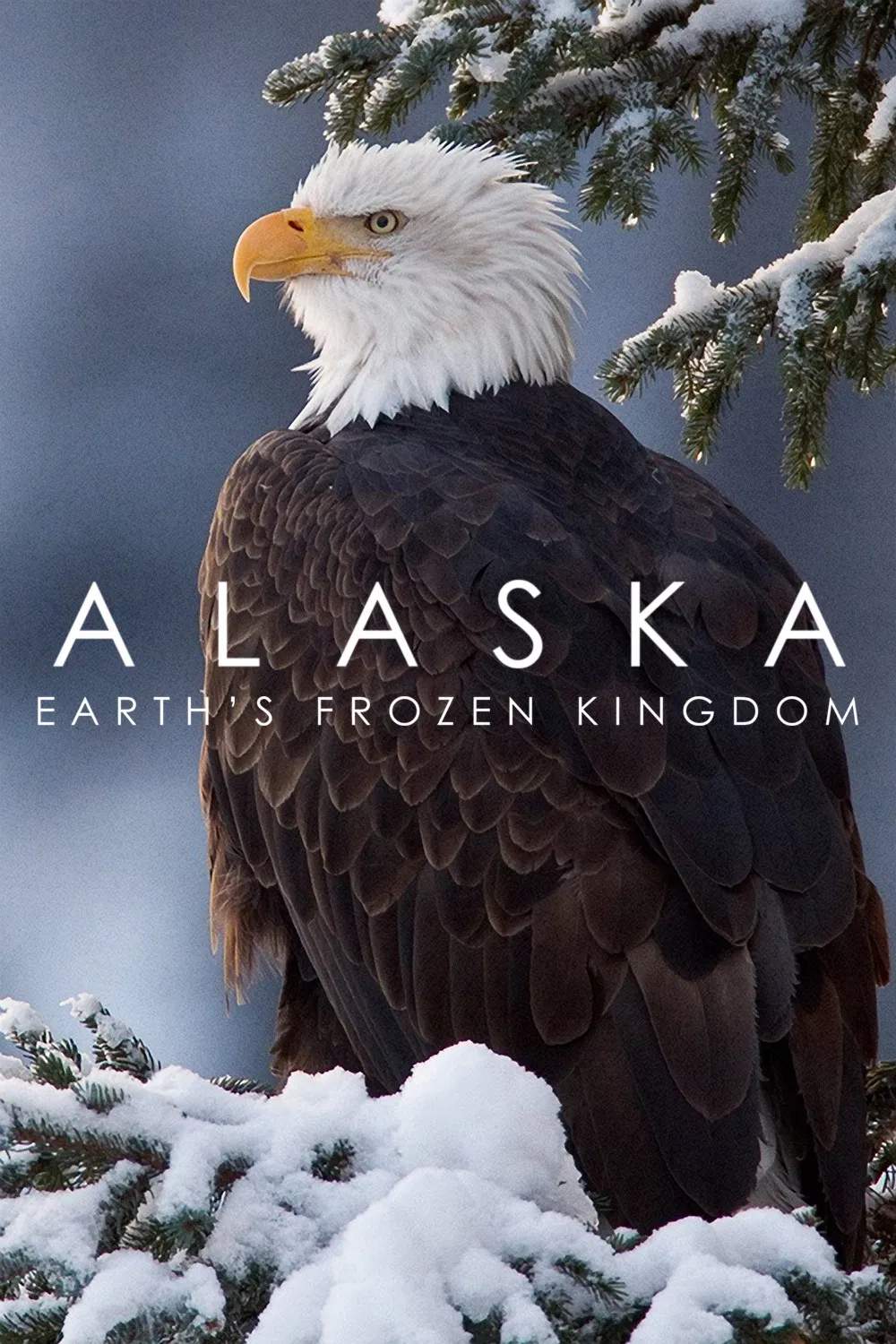 Poster chính thức của phim Phim Tài Liệu "Alaska: Vương Quốc Băng Giá" (Alaska: Earth's Frozen Kingdom - 2015), với sự tham gia của diễn viên Dougray Scott.