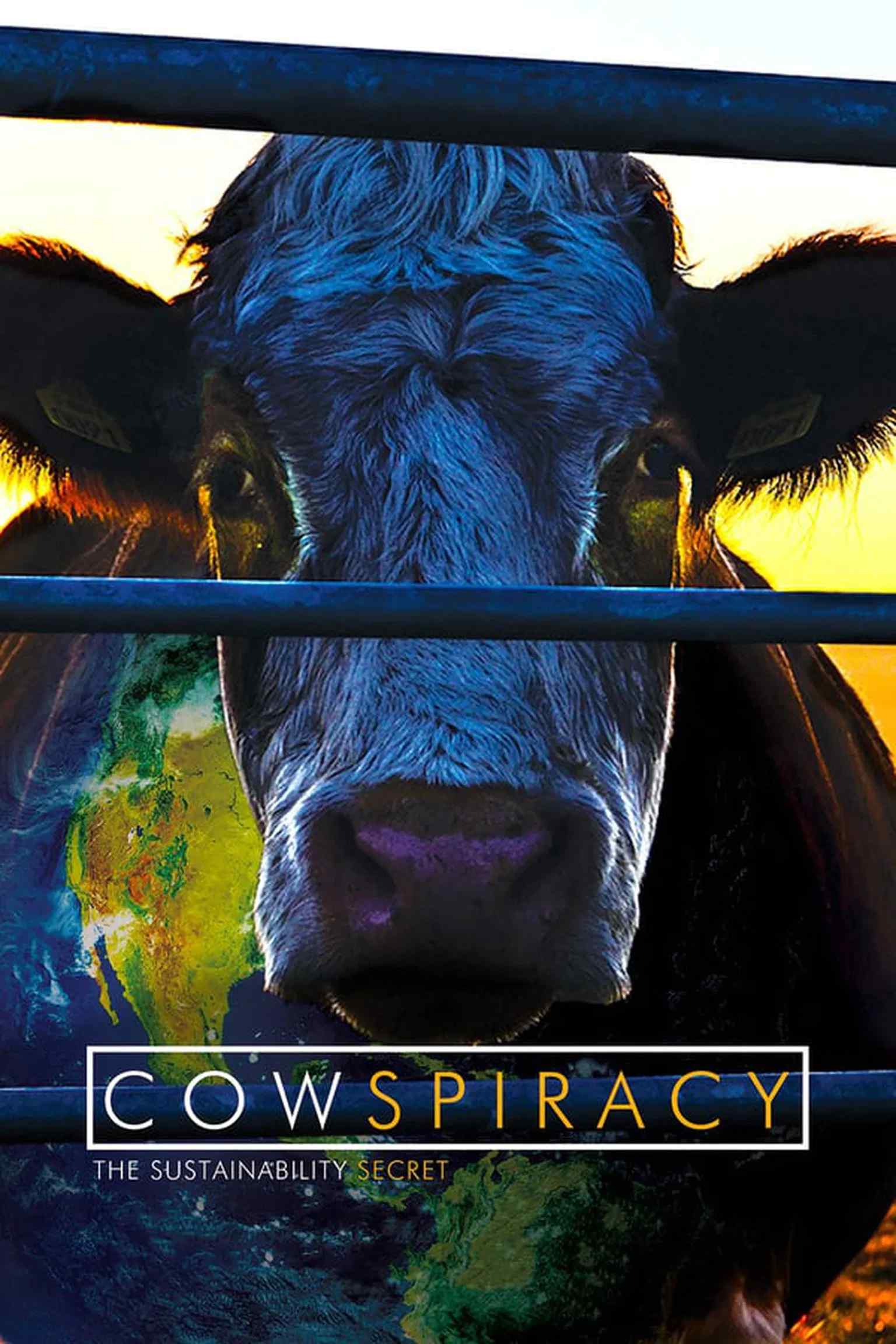 Poster chính thức của phim Phim Tài Liệu "Âm Mưu Về Bò Sữa: Bí Mật Của Sự Bền Vững" (Cowspiracy: The Sustainability Secret - 2014).