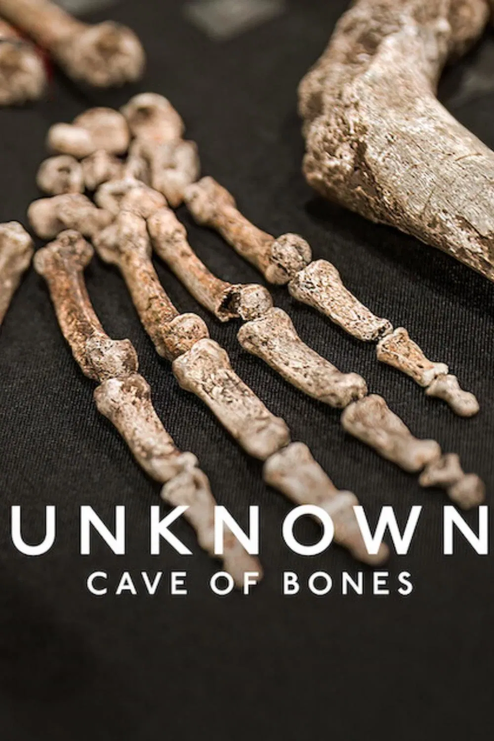 Poster chính thức của phim Phim Tài Liệu "Ẩn Số Trái Đất: Hang Hài Cốt" (Unknown: Cave of Bones - 2023).