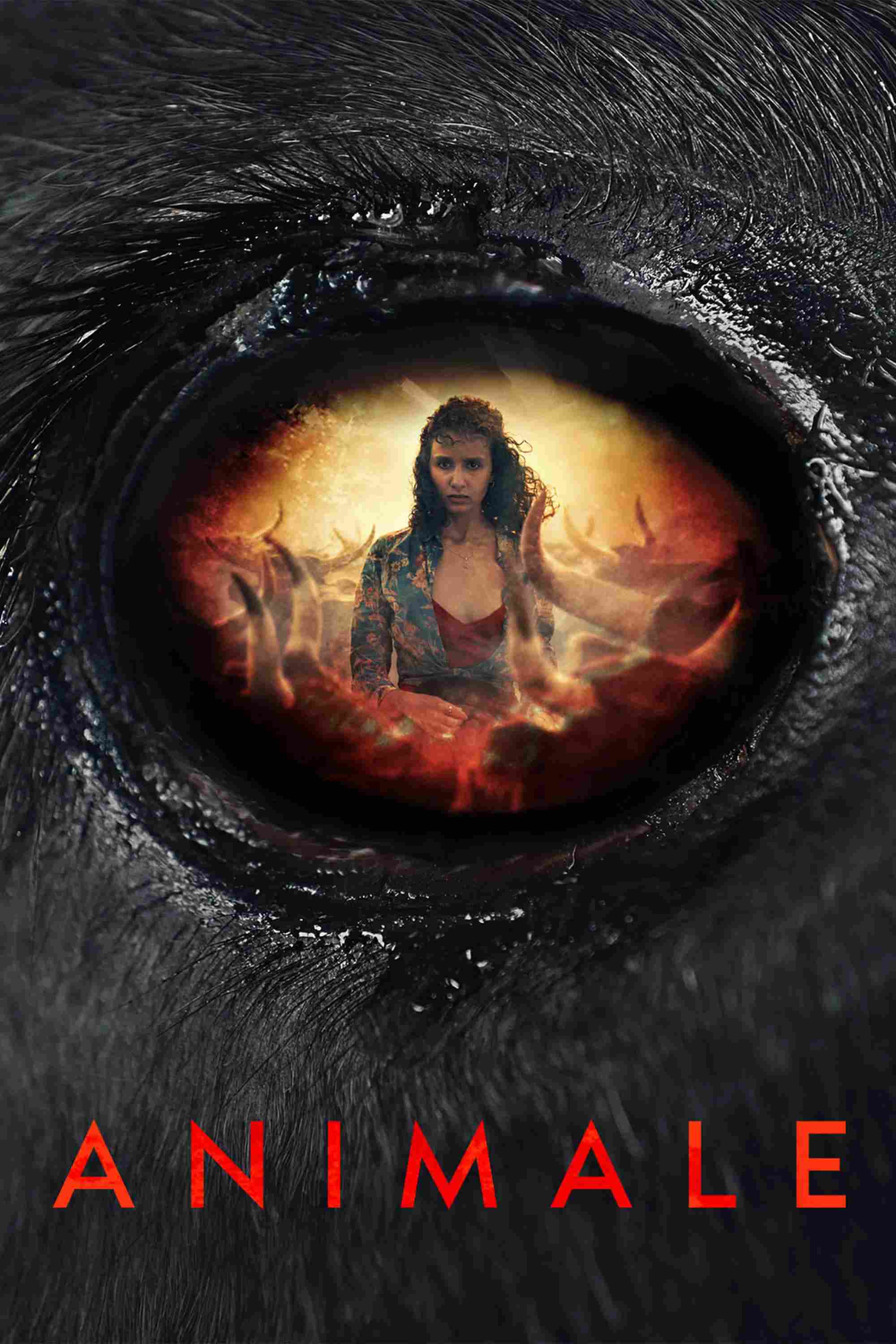 Poster chính thức của phim Phim Giả Tượng, Phim Tâm Lý "Animale" (Animale - 2024), với sự tham gia của diễn viên Oulaya Amamra.