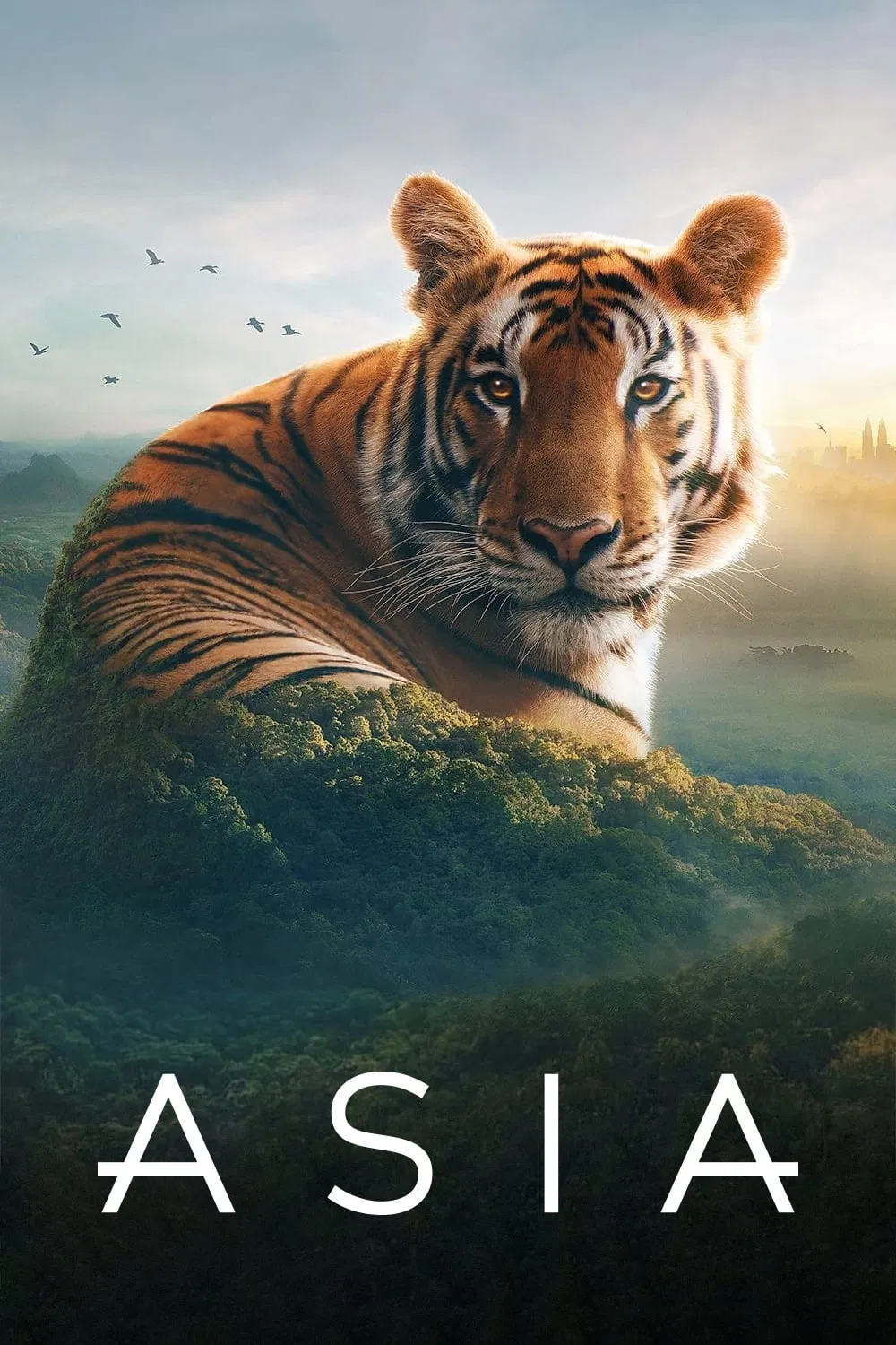 Poster chính thức của phim Phim Tài Liệu "Asia" (Asia - 2024), với sự tham gia của diễn viên David Attenborough.