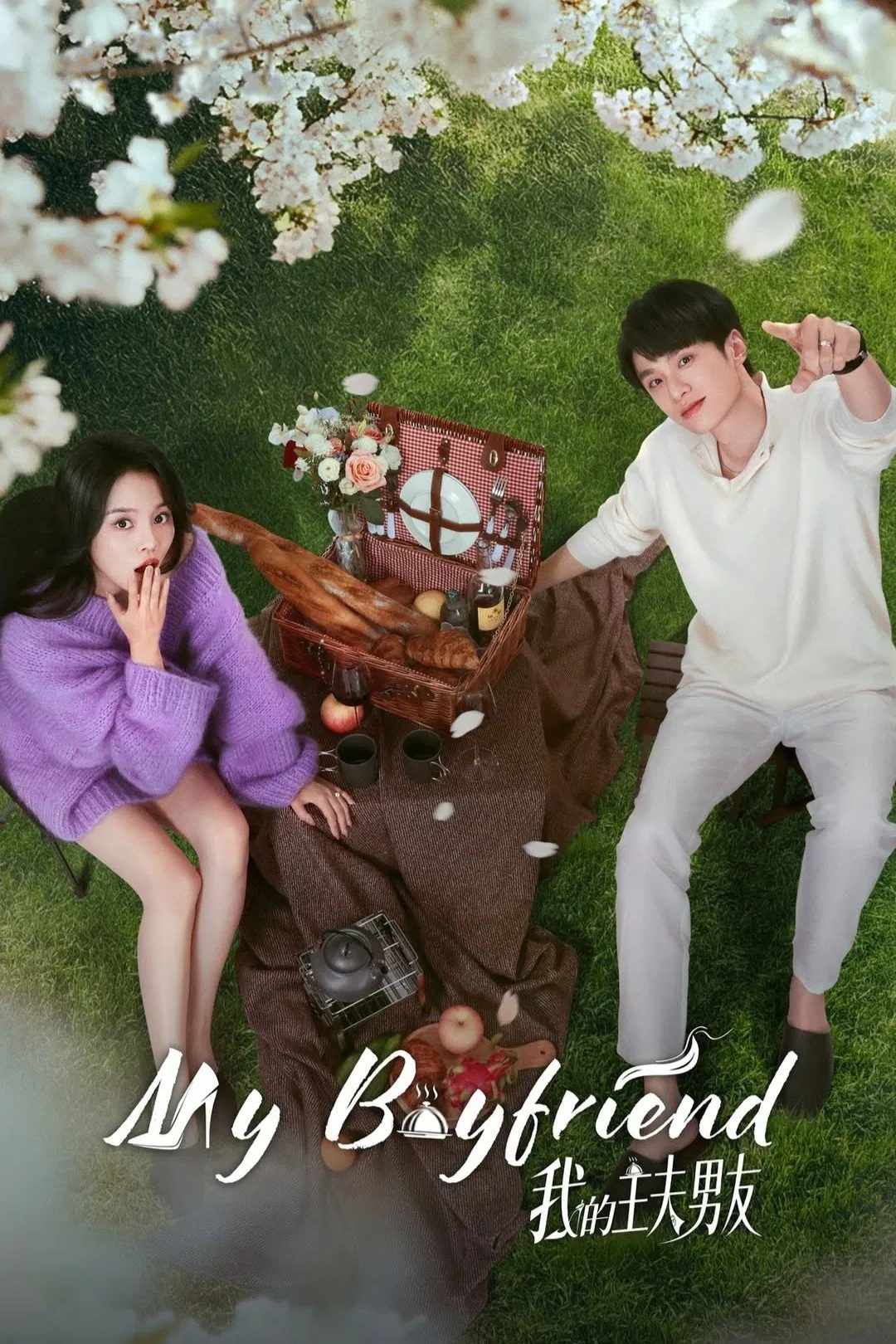 Poster chính thức của phim Phim Tâm Lý "Bạn Trai Nội Trợ Của Tôi" (My Boyfriend - 2025), với sự tham gia của diễn viên Chen Shengheng và Gao Yufei.