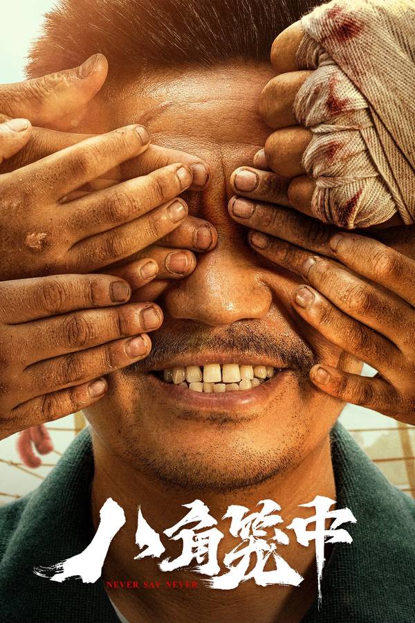 Poster chính thức của phim Phim Tâm Lý, Phim Hành Động "Bát Giác Long Trung" (Never Say Never - 2023), với sự tham gia của diễn viên Vương Bảo Cường và Shi Pengyuan.