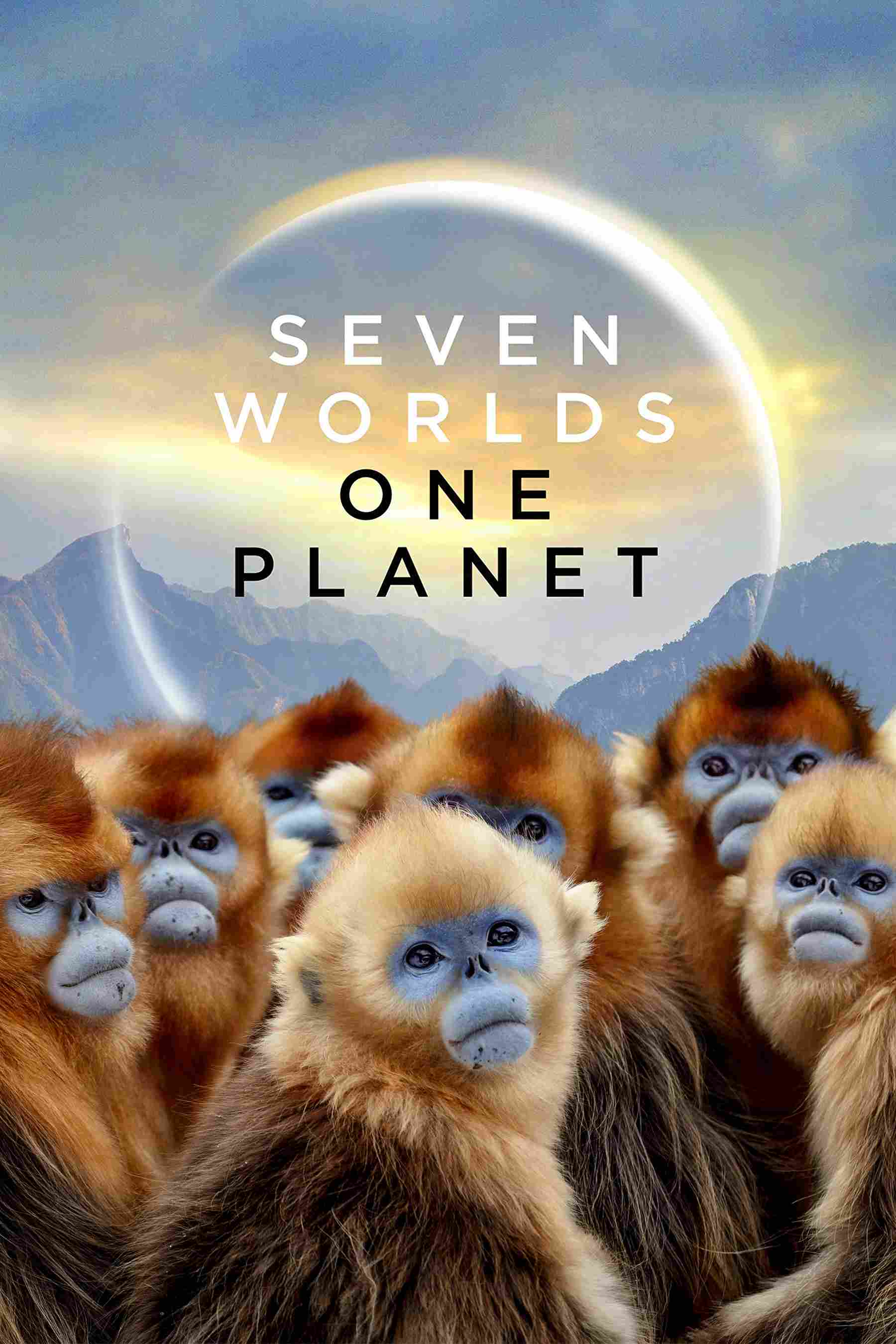 Poster chính thức của phim Phim Tài Liệu, Phim Gia Đình "Bảy Thế Giới, Một Hành Tinh" (Seven Worlds, One Planet - 2019), với sự tham gia của diễn viên David Attenborough.