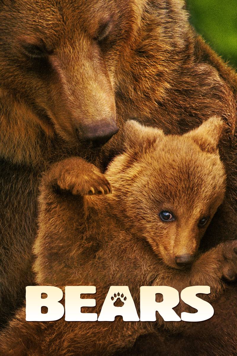 Poster chính thức của phim Phim Tài Liệu "Bears" (Bears - 2014), với sự tham gia của diễn viên John C. Reilly.