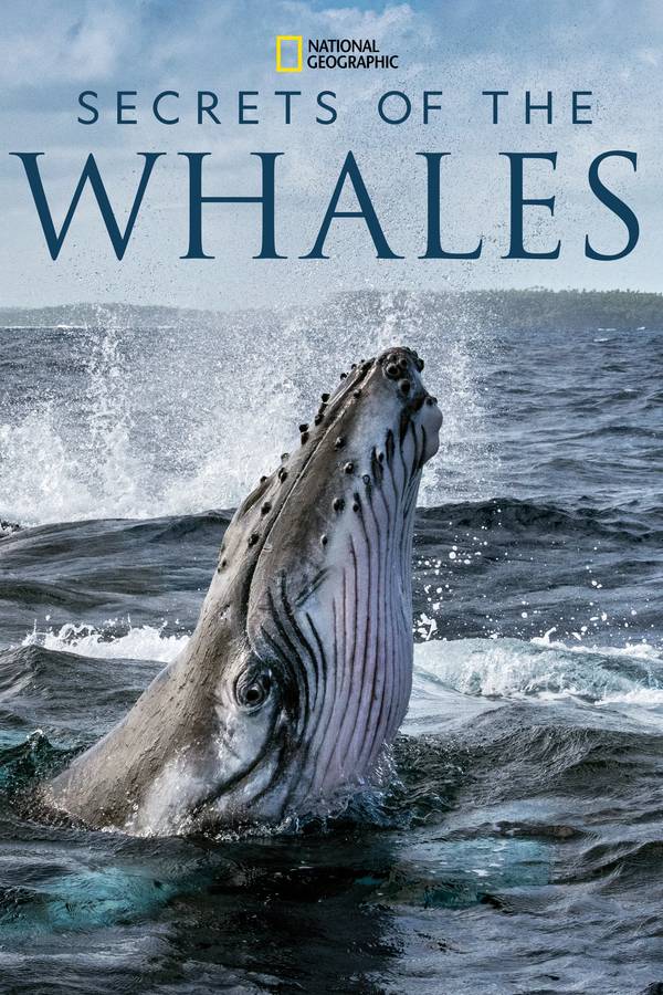 Poster chính thức của phim Phim Tài Liệu "Bí Ẩn Của Loài Cá Voi" (Secrets of the Whales - 2021), với sự tham gia của diễn viên Sigourney Weaver và James Cameron.