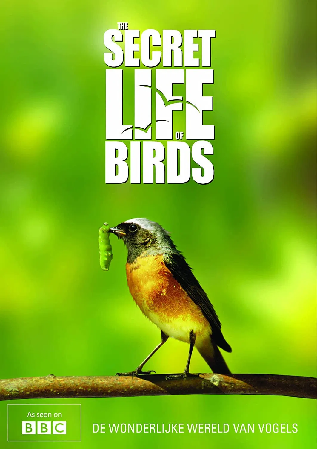 Poster chính thức của phim Phim Tài Liệu "Bí ẩn cuộc sống loài chim" (Iolo's Secret Life of Birds - 2010), với sự tham gia của diễn viên Iolo Williams.