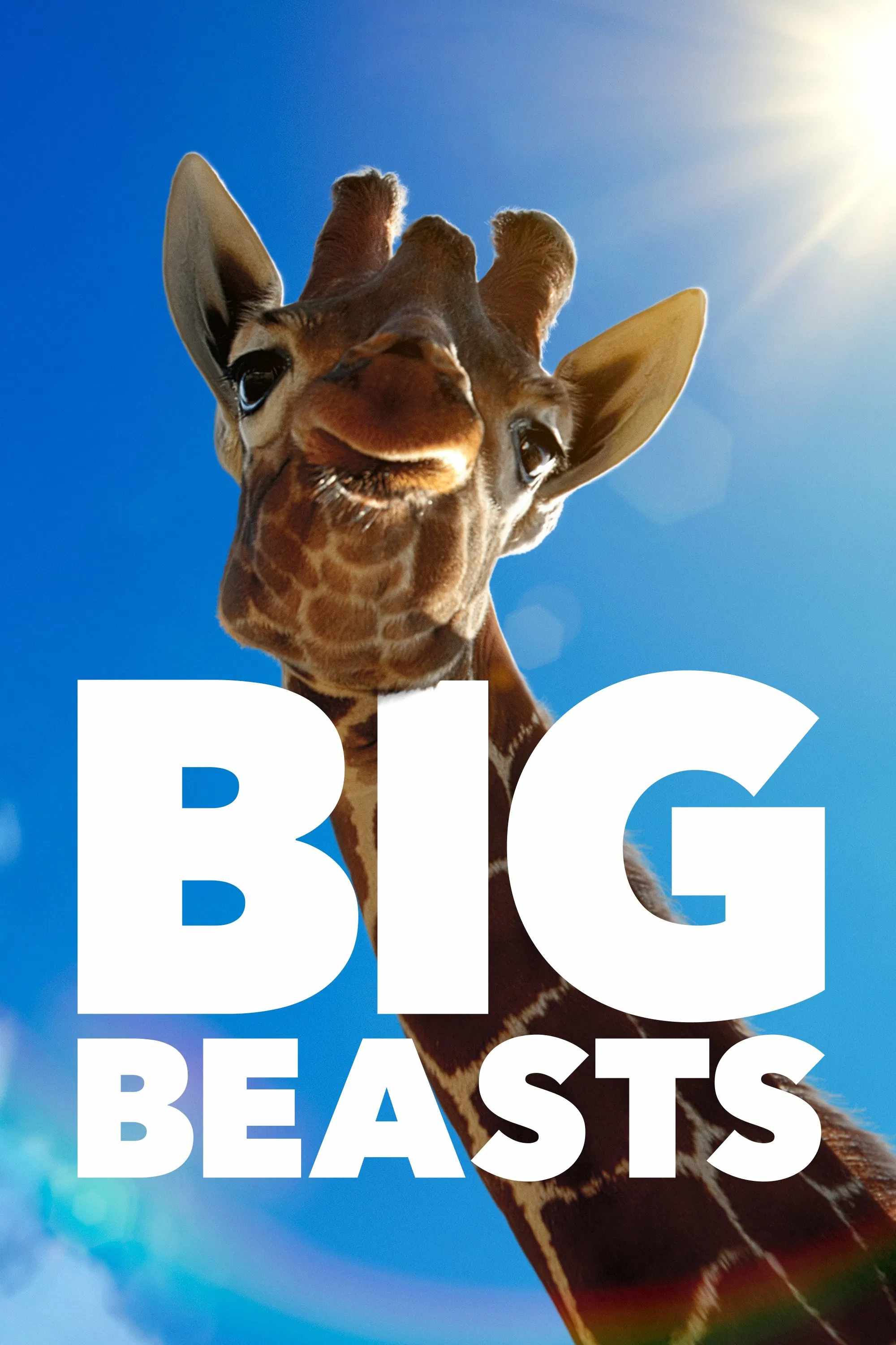 Poster chính thức của phim Phim Tài Liệu "Big Beasts" (Big Beasts - 2023), với sự tham gia của diễn viên Tom Hiddleston.