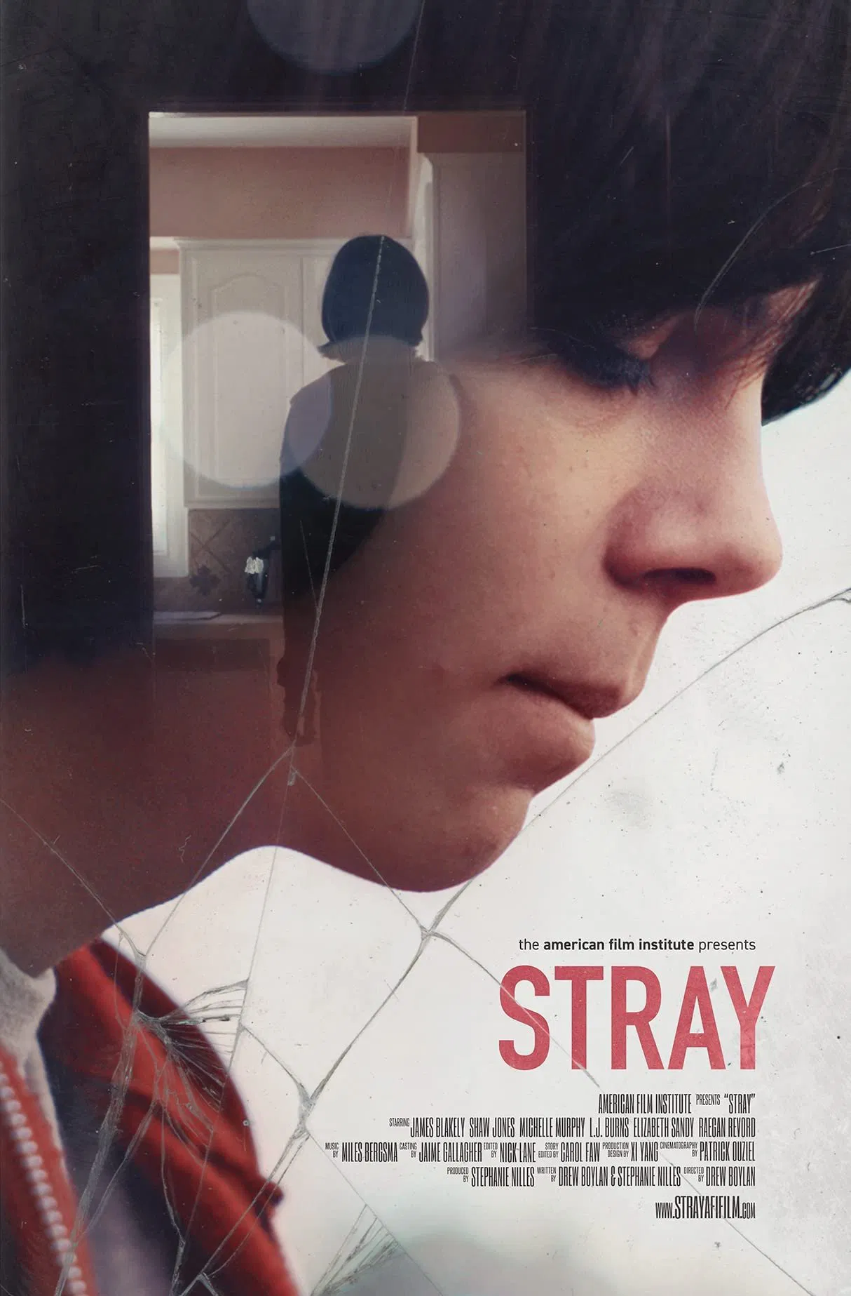 Poster chính thức của phim Phim Tâm Lý "Bỏ Rơi" (Stray - 2017), với sự tham gia của diễn viên Shaw Jones và James Blakely.