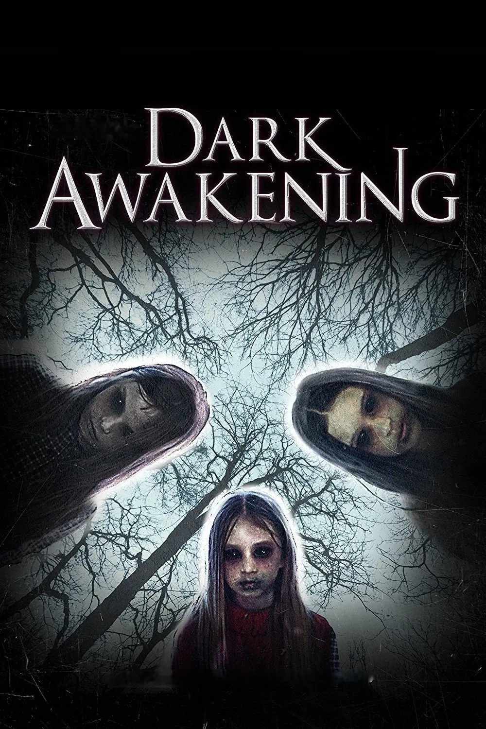 Poster chính thức của phim Phim Kinh Dị, Phim Bí Ẩn "Bóng Tối Thức Dậy" (Dark Awakening - 2014), với sự tham gia của diễn viên Lance Henriksen và Jason Cook.