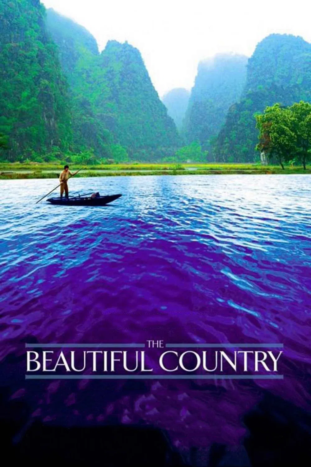 Poster chính thức của phim Phim Tâm Lý "Bụi Đời" (The Beautiful Country - 2004), với sự tham gia của diễn viên Nick Nolte và Tim Roth.