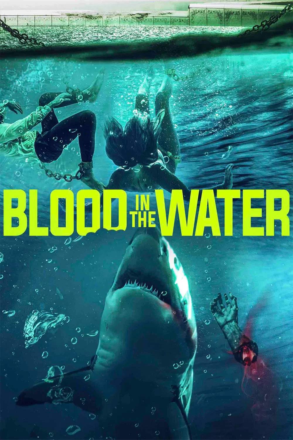 Poster chính thức của phim Phim Kinh Dị, Phim Giật Gân "Cá Mập Dưới Nước" (Blood in the Water - 2022), với sự tham gia của diễn viên Jamie Robertson và Amanda-Jade Tyler.