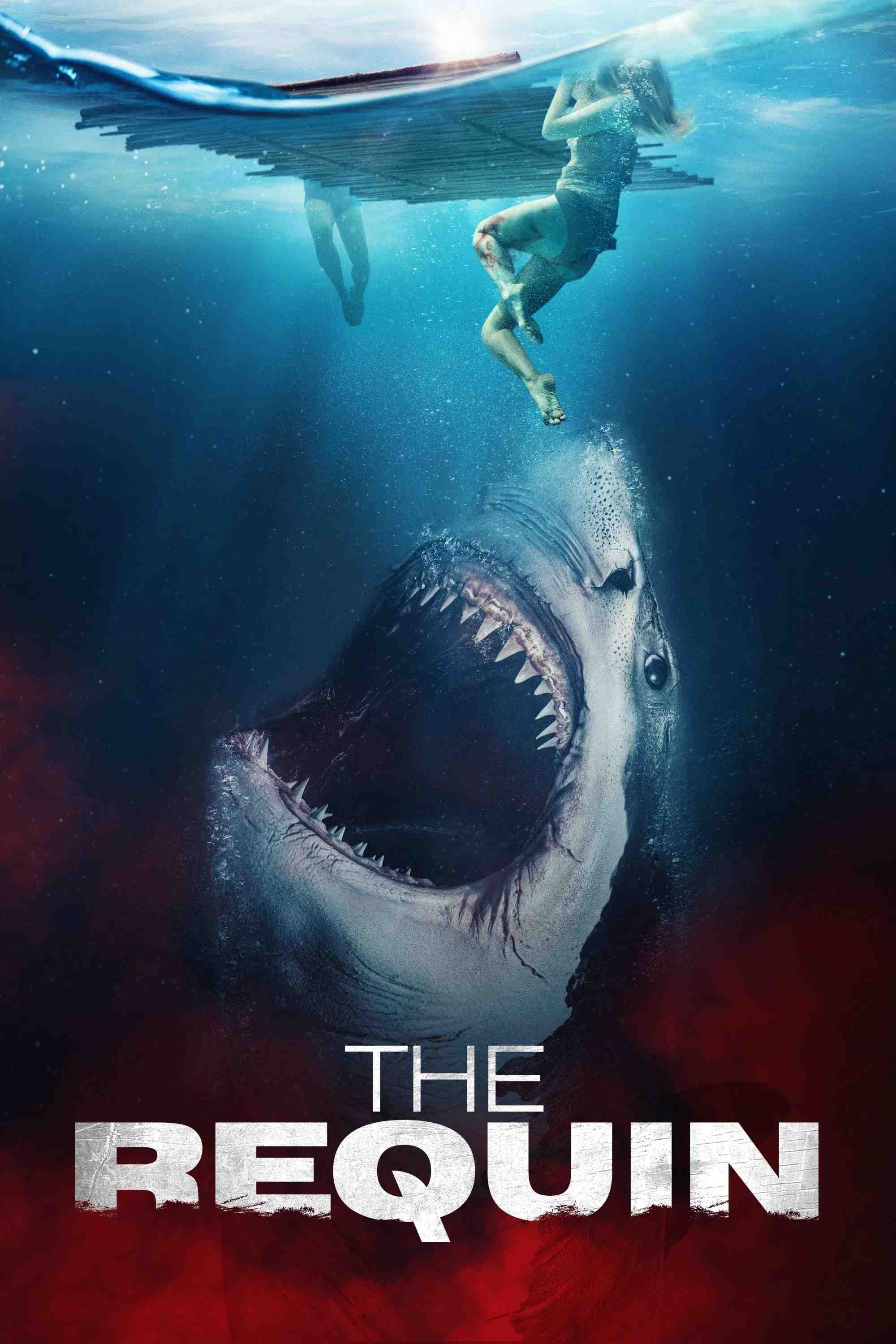 Poster chính thức của phim Phim Kinh Dị, Phim Bí Ẩn "Cá Mập Trắng Khổng Lồ" (The Requin - 2022), với sự tham gia của diễn viên Alicia Silverstone và James Tupper.