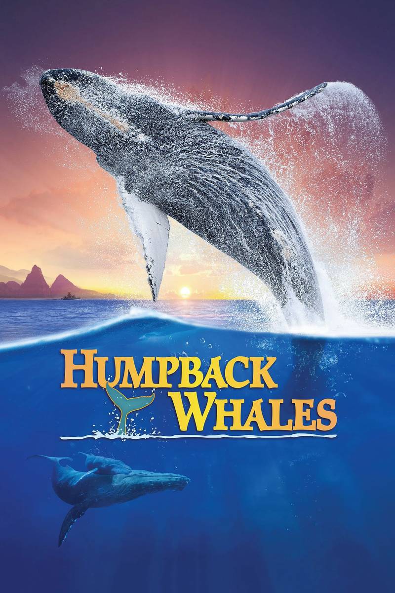 Poster chính thức của phim Phim Tài Liệu "Cá Voi Lưng Gù" (Humpback Whales - 2015), với sự tham gia của diễn viên Ewan McGregor.