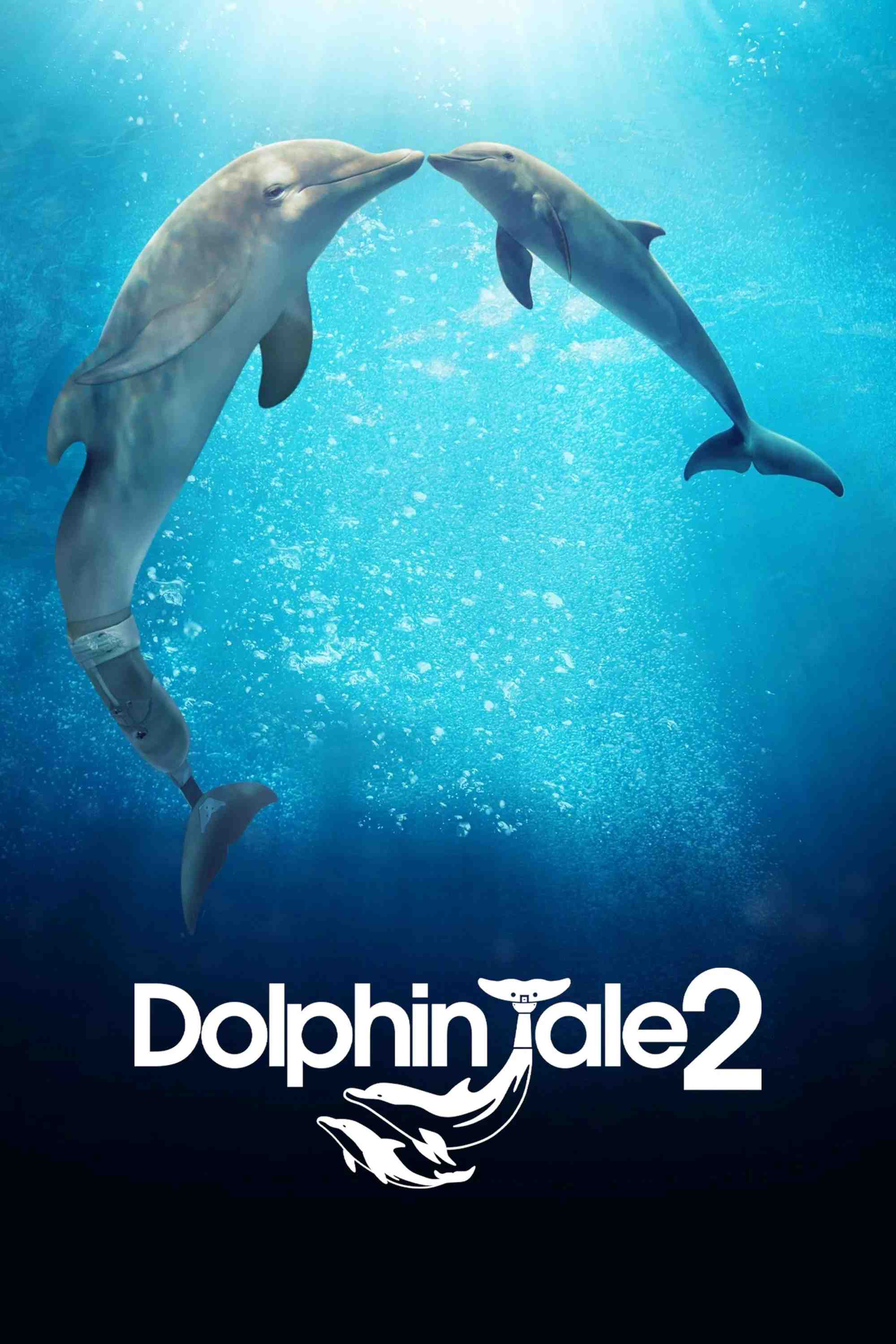 Poster chính thức của phim Phim Gia Đình, Phim Tâm Lý "Câu Chuyện Cá Heo 2" (Dolphin Tale 2 - 2014), với sự tham gia của diễn viên Winter The Dolphin và Nathan Gamble.
