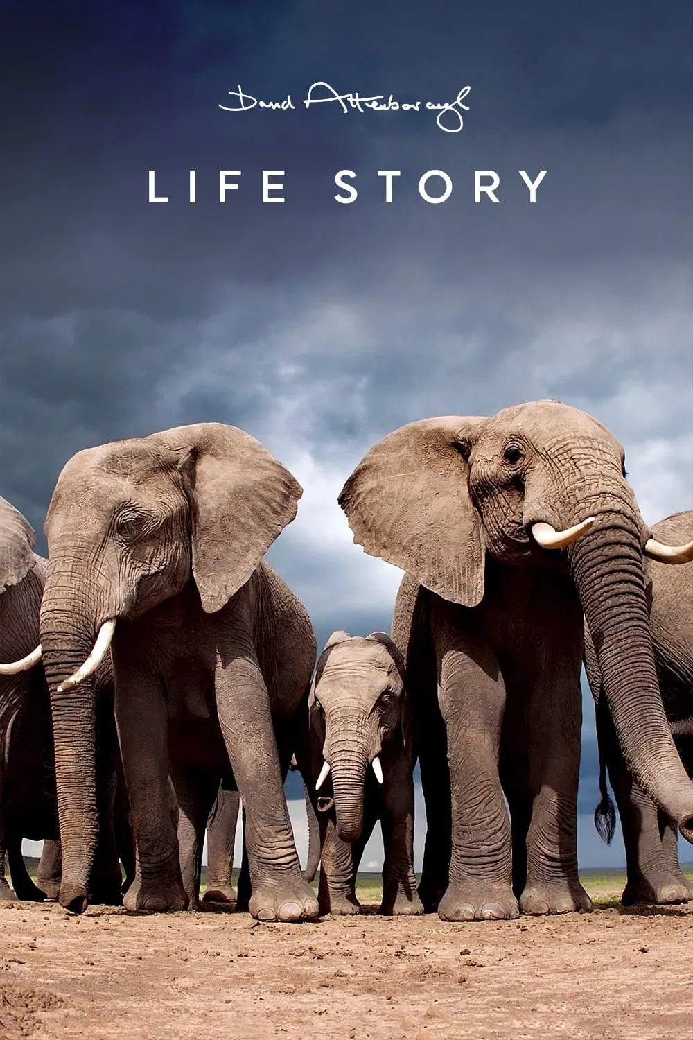 Poster chính thức của phim Phim Tài Liệu "Câu Chuyện Cuộc Sống" (Life Story - 2014), với sự tham gia của diễn viên David Attenborough.