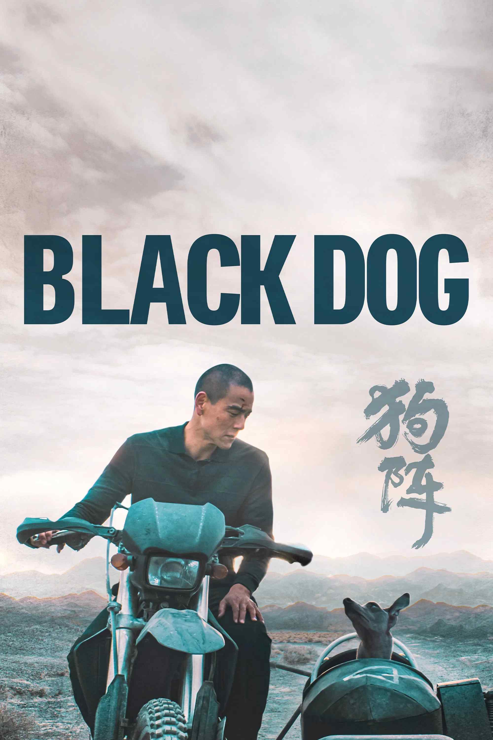 Poster chính thức của phim Phim Tâm Lý "Cẩu Trận" (Black Dog - 2024), với sự tham gia của diễn viên Bành Vu Yến và Đồng Lệ Á.