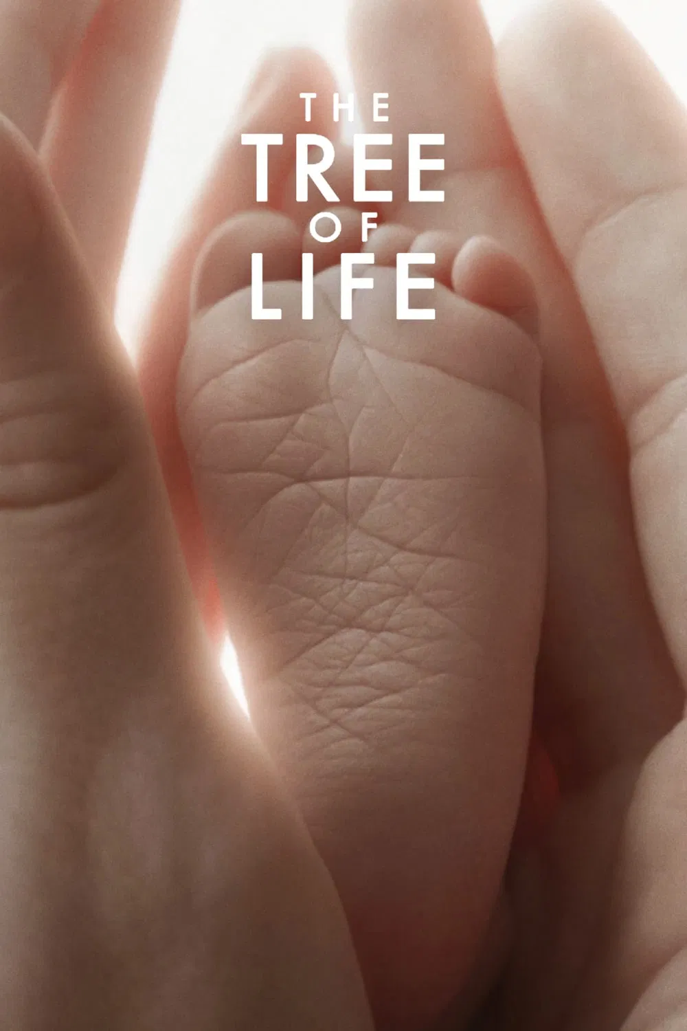 Poster chính thức của phim Phim Tâm Lý, Phim Giả Tượng "Cây Đời" (The Tree of Life - 2011), với sự tham gia của diễn viên Brad Pitt và Jessica Chastain.
