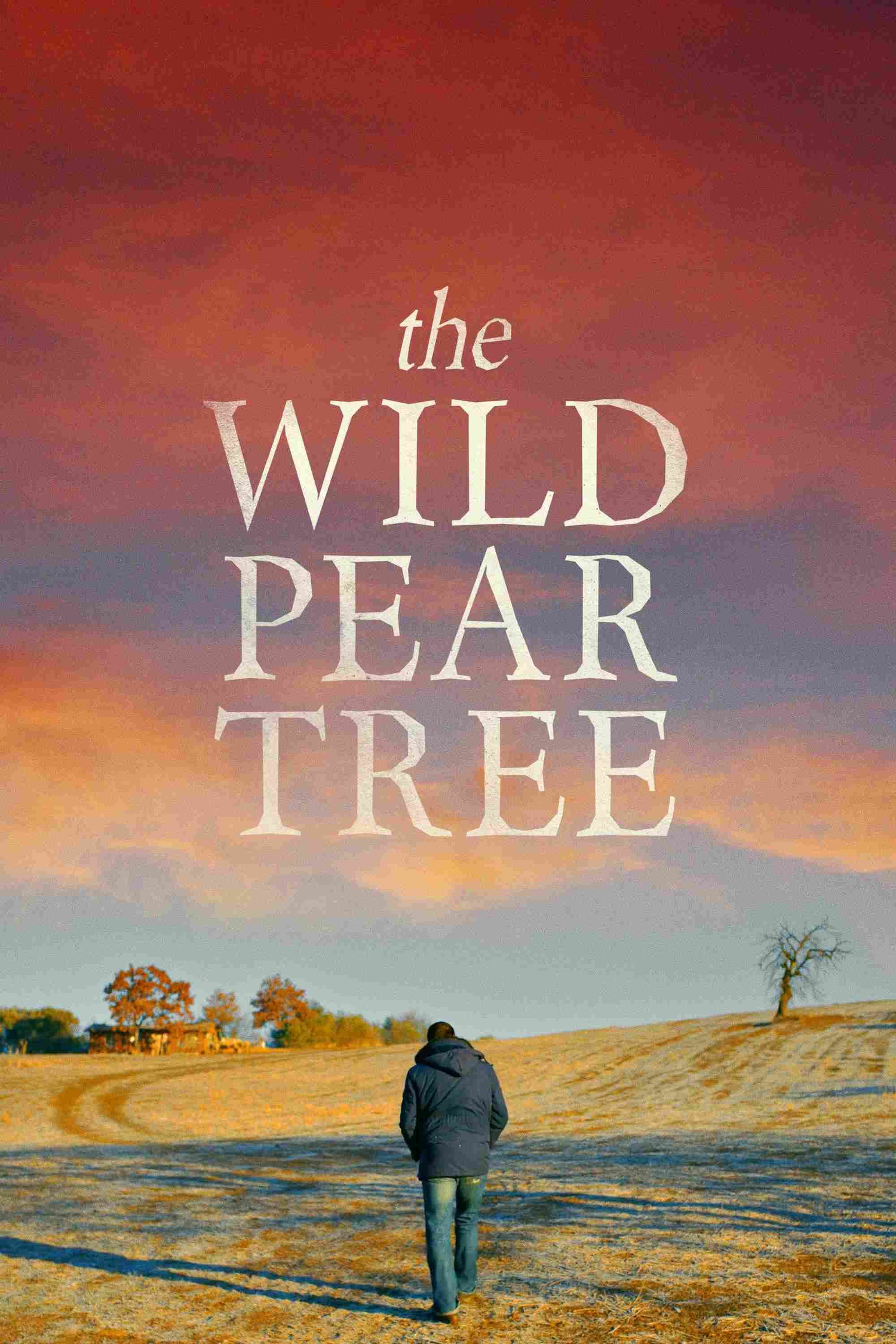 Poster chính thức của phim Phim Tâm Lý "Cây Lê Dại" (The Wild Pear Tree - 2018), với sự tham gia của diễn viên Doğu Demirkol và Murat Cemcir.