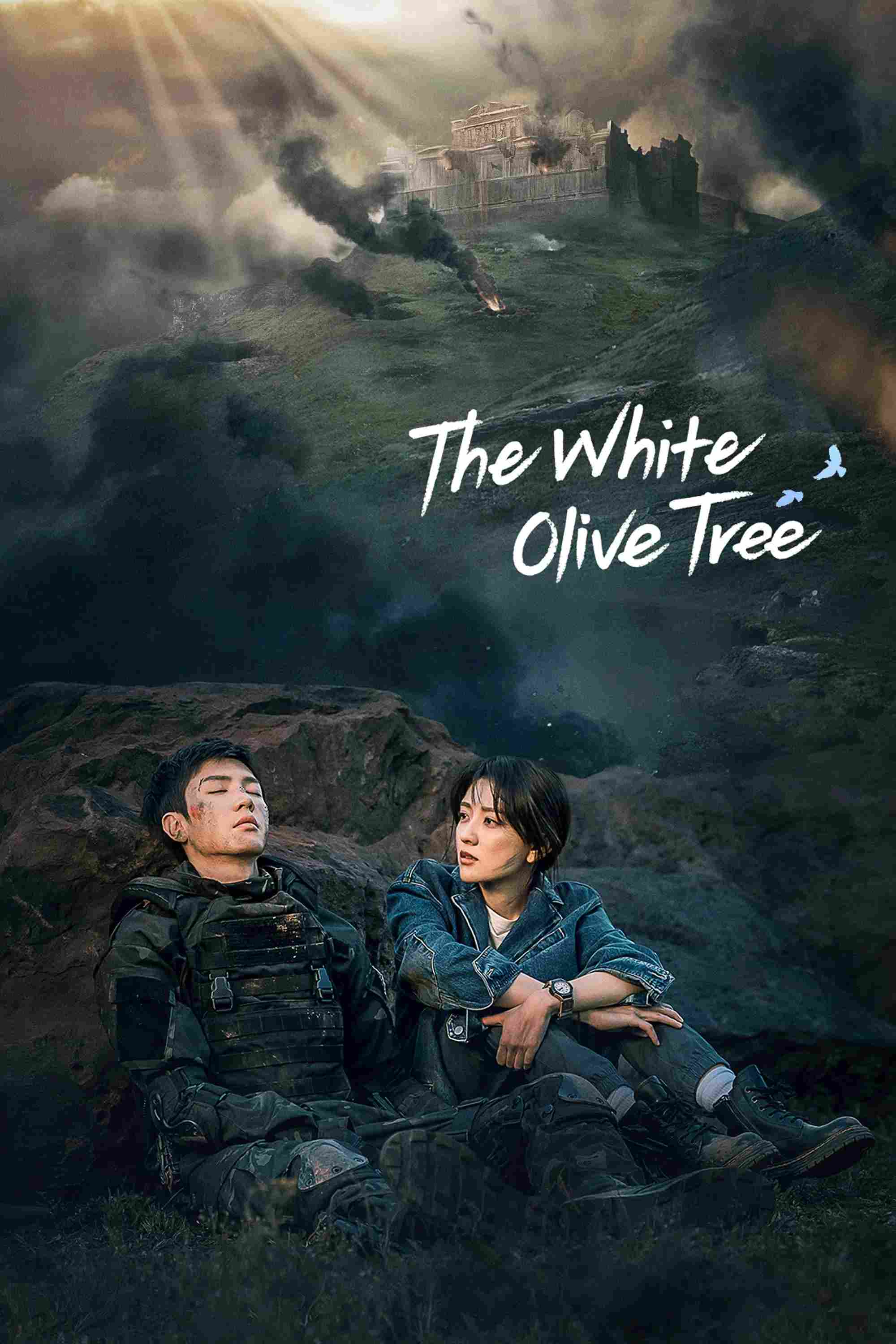 Poster chính thức của phim Phim Tâm Lý "Cây Ô Liu Màu Trắng" (The White Olive Tree - 2025), với sự tham gia của diễn viên Trần Triết Viễn và Lương Khiết.