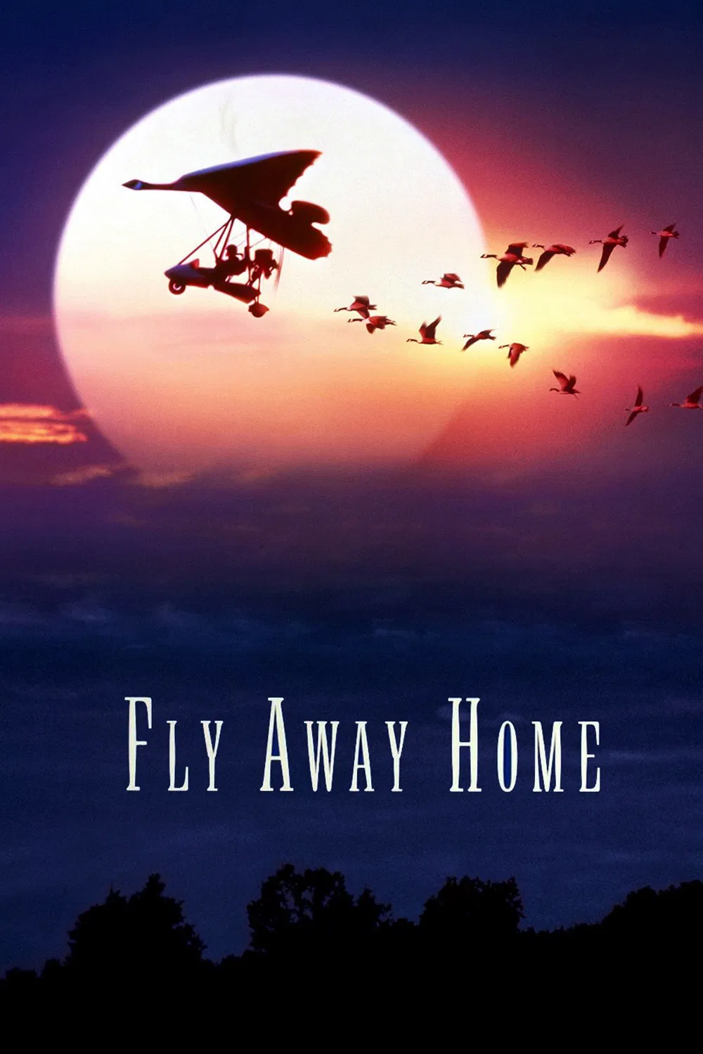 Poster chính thức của phim Phim Phiêu Lưu, Phim Tâm Lý "Chắp Cánh Bay Xa" (Fly Away Home - 1996), với sự tham gia của diễn viên Jeff Daniels và Anna Paquin.