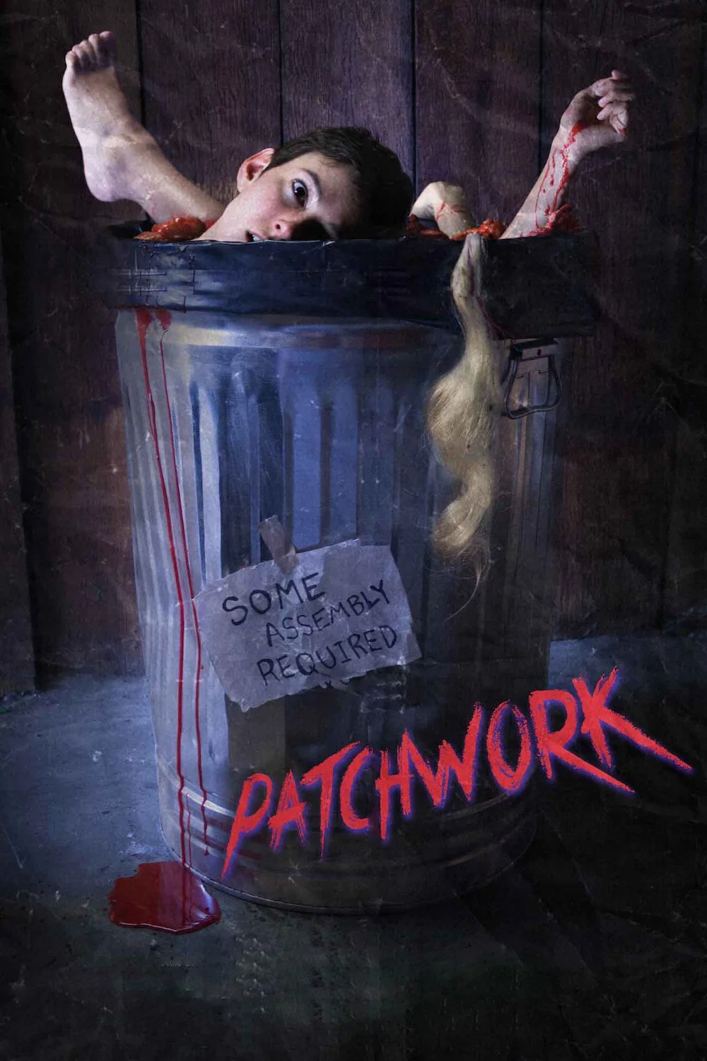 Poster chính thức của phim Phim Kinh Dị, Phim Hài "Chắp vá" (Patchwork - 2015), với sự tham gia của diễn viên Tory Stolper và Tracey Fairaway.