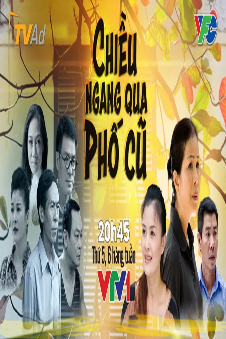 Poster chính thức của phim Phim Gia Đình, Phim Tâm Lý "Chiều Ngang Qua Phố Cũ" (Crossing The Old Street In The Afternoon - 2016), với sự tham gia của diễn viên Bùi Bài Bình và Xuân Trường.