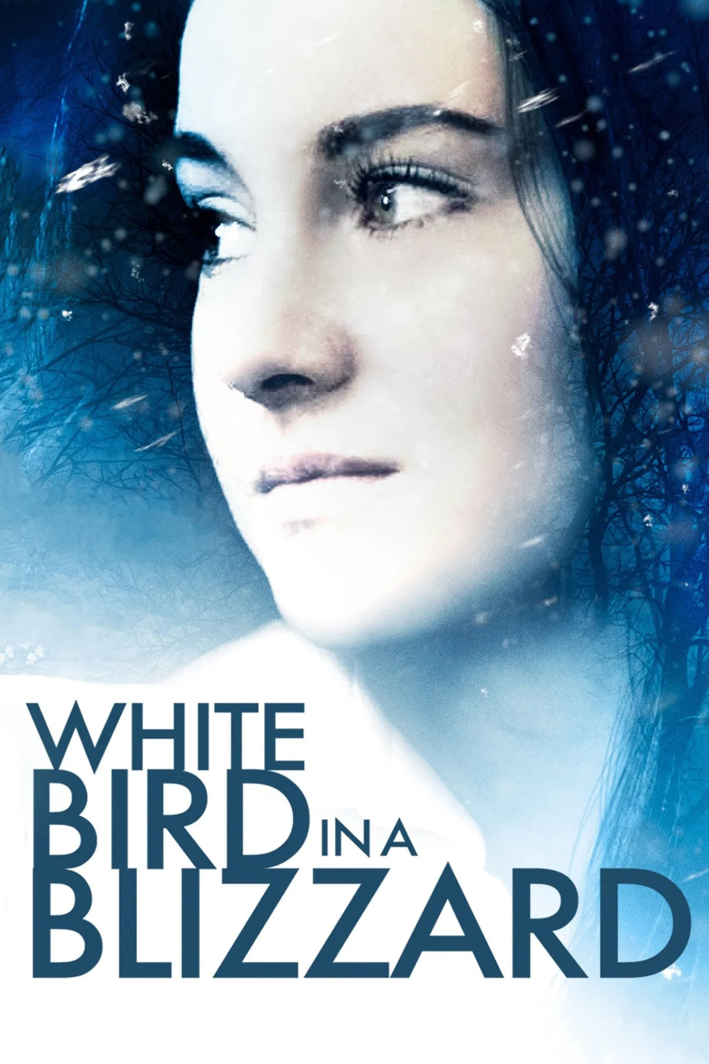 Poster chính thức của phim Phim Giật Gân, Phim Tâm Lý "Chim Trắng Giữa Bão Tuyết" (White Bird in a Blizzard - 2014), với sự tham gia của diễn viên Shailene Woodley và Eva Green.