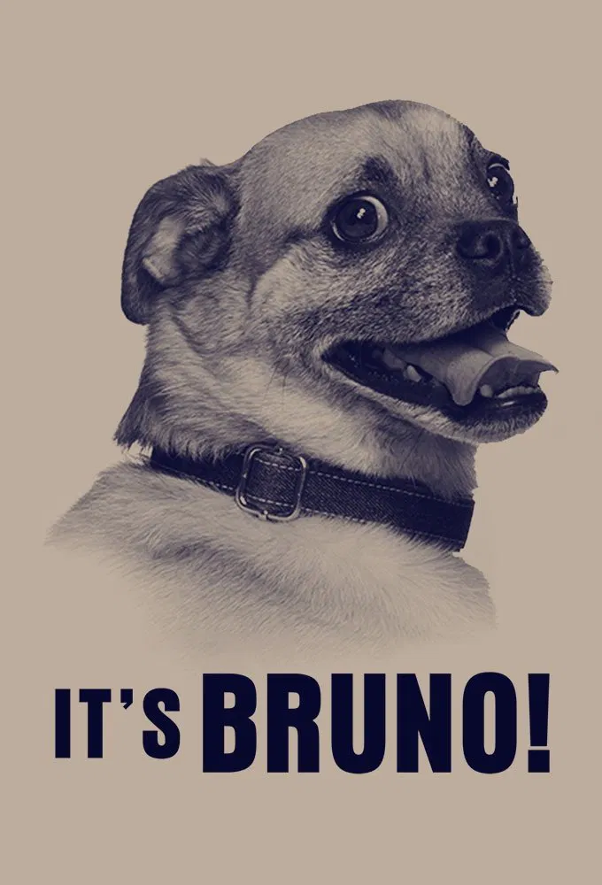 Poster chính thức của phim Phim Hài "Chú chó Bruno" (It's Bruno! - 2019), với sự tham gia của diễn viên Solvan Naim và Rob Morgan.