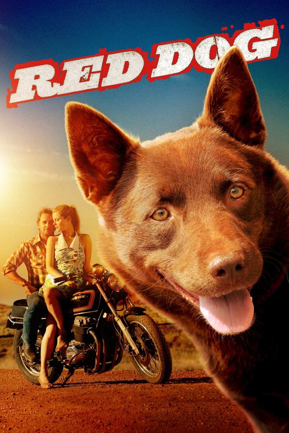Poster chính thức của phim Phim Tâm Lý, Phim Hài "Chú Chó Đỏ" (Red Dog - 2011), với sự tham gia của diễn viên Josh Lucas và Rachael Taylor.