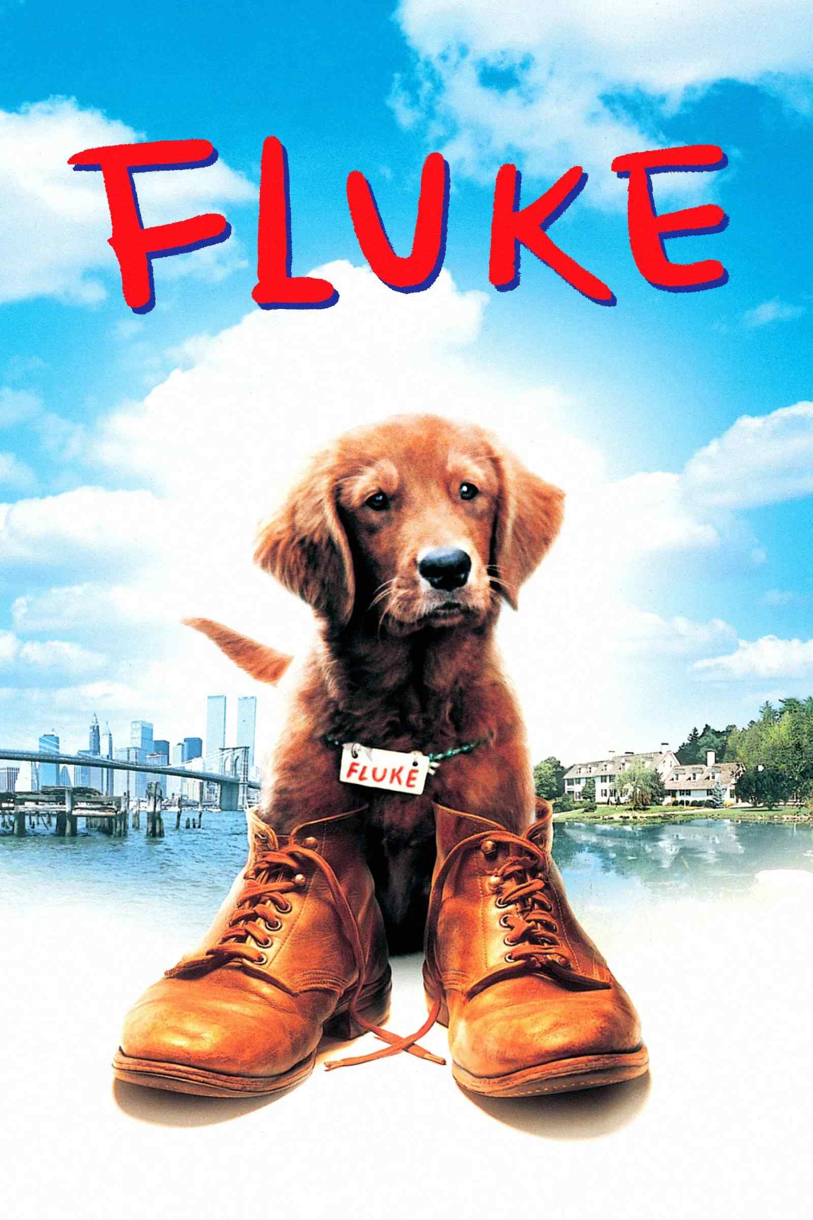 Poster chính thức của phim Phim Tâm Lý, Phim Phiêu Lưu "Chú Chó Fluke" (Fluke - 1995), với sự tham gia của diễn viên Matthew Modine và Nancy Travis.
