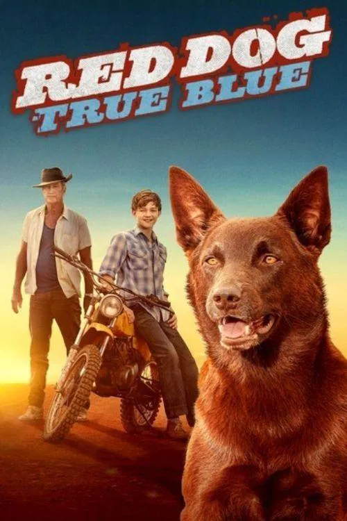 Poster chính thức của phim Phim Gia Đình, Phim Hài "Chú Chó Trung Thành 2" (Red Dog: True Blue - 2016), với sự tham gia của diễn viên Levi Miller và Hanna Mangan Lawrence.