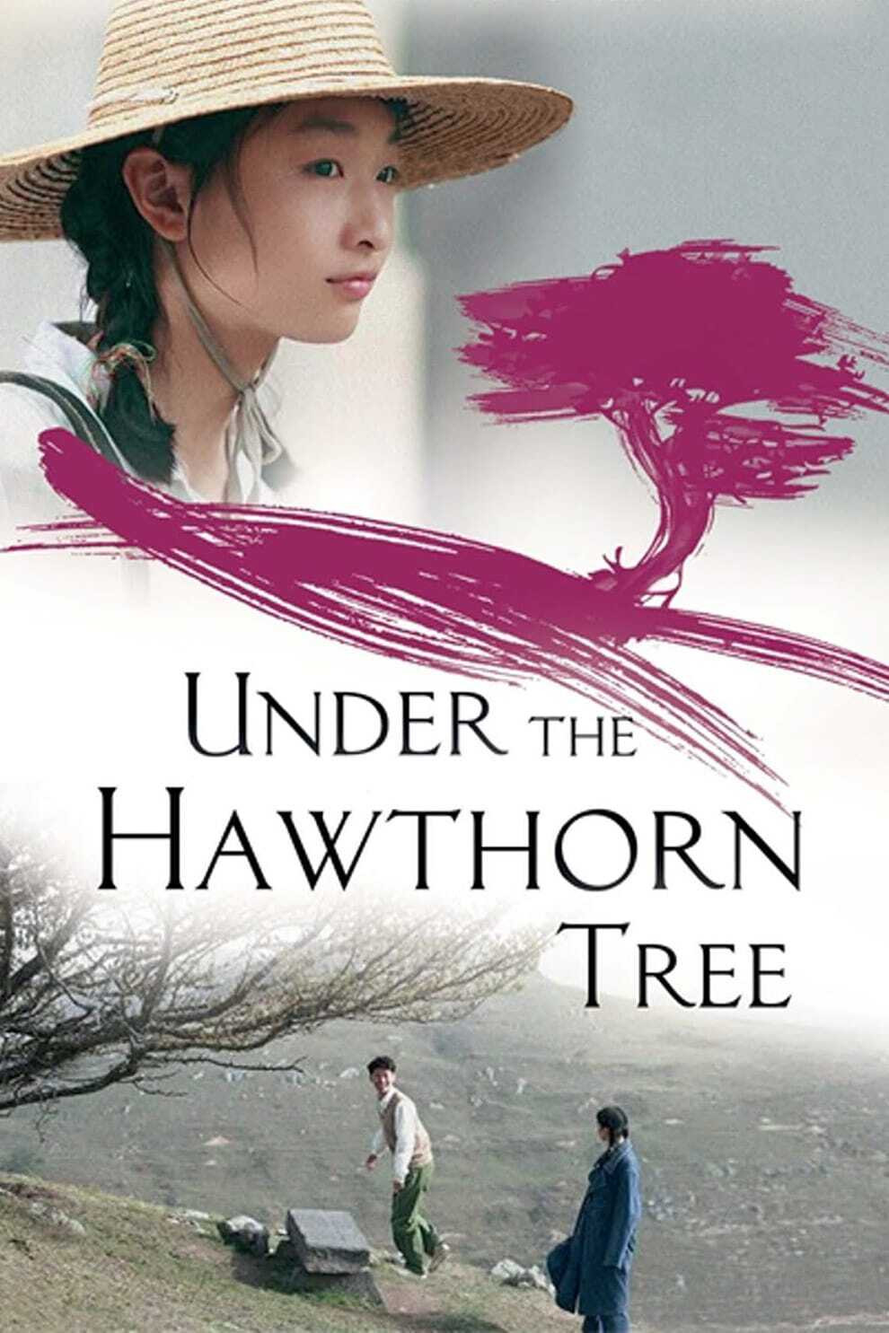 Poster chính thức của phim Phim Tâm Lý, Phim Tình Cảm "Chuyện Tình Cây Táo Gai" (Under the Hawthorn Tree - 2010), với sự tham gia của diễn viên Li Xuejian và Cheng Taishen.