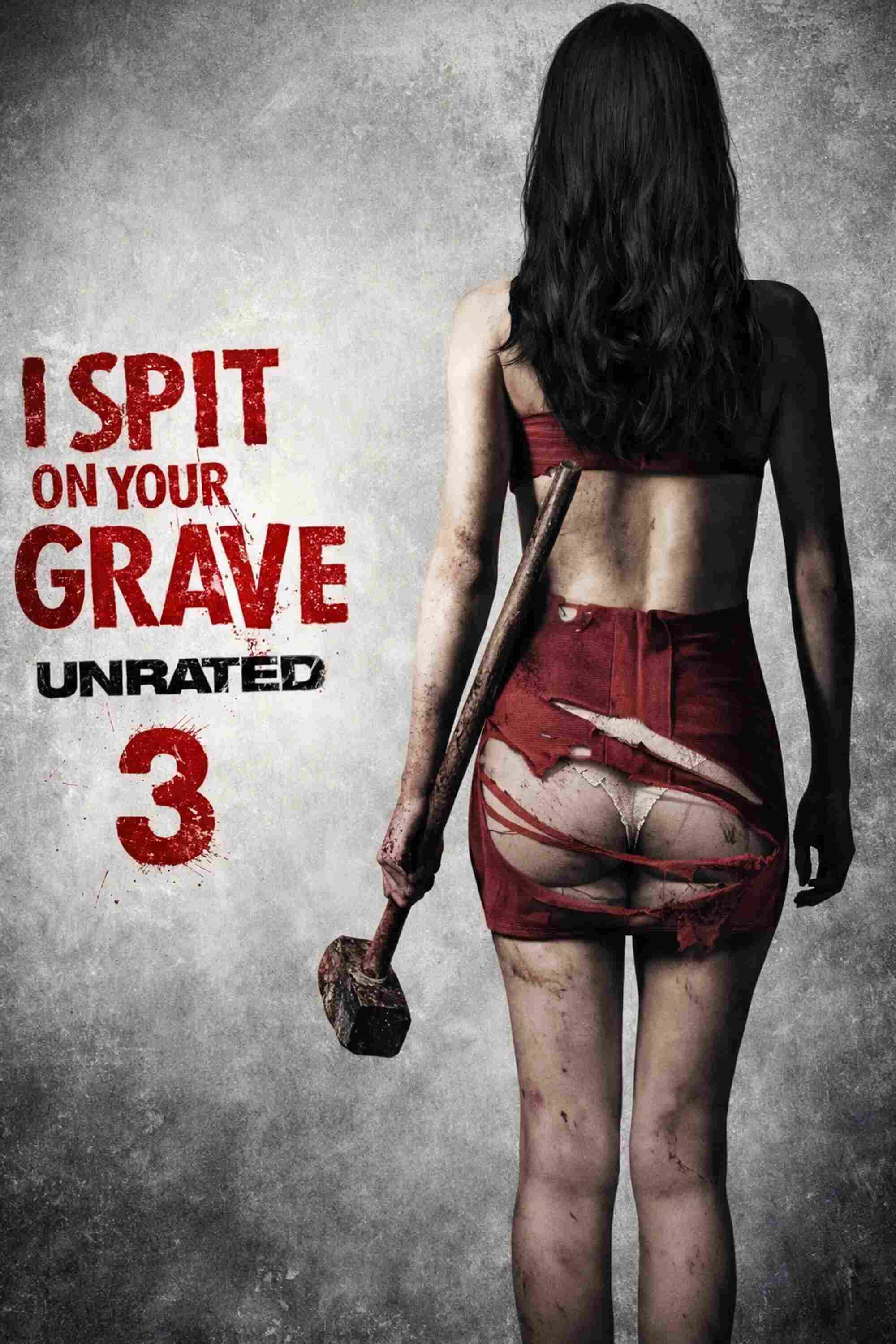 Poster chính thức của phim Phim Kinh Dị "Cô Gái Báo Thù 3" (I Spit on Your Grave III: Vengeance Is Mine - 2015), với sự tham gia của diễn viên Sarah Butler và Jennifer Landon.