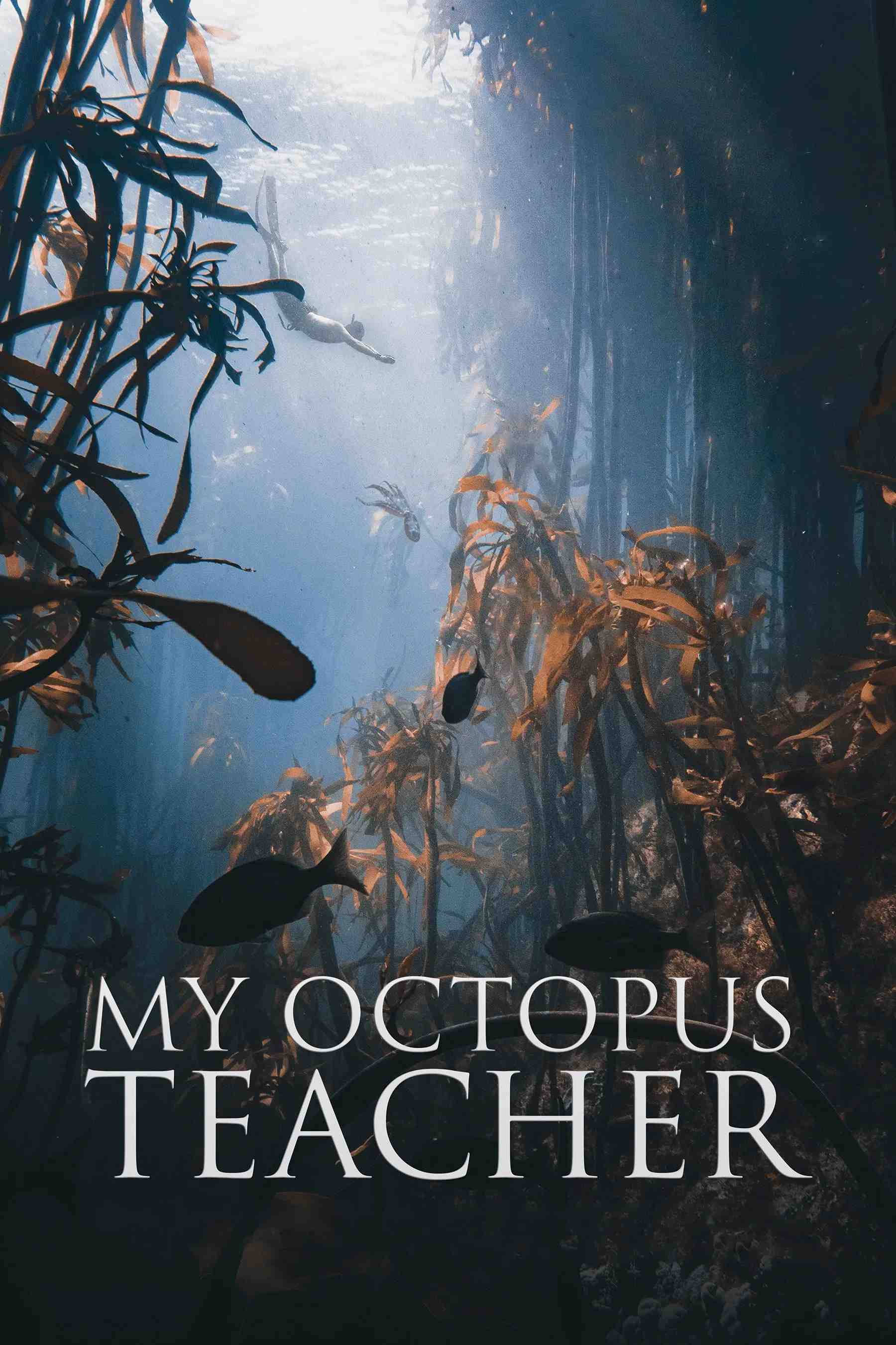 Poster chính thức của phim Phim Tài Liệu "Cô Giáo Bạch Tuộc" (My Octopus Teacher - 2020).