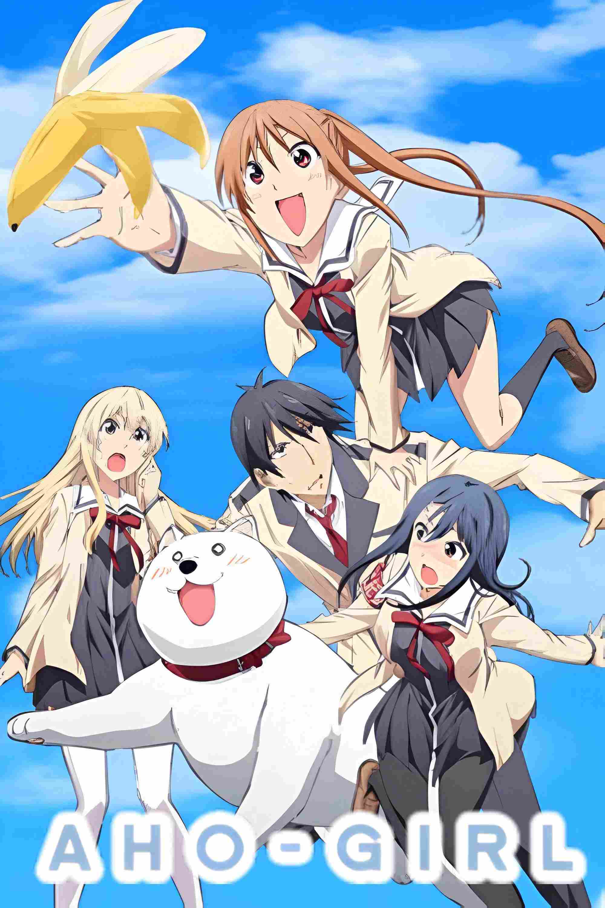 Poster phim Cô Nàng Ngốc - Aho Girl