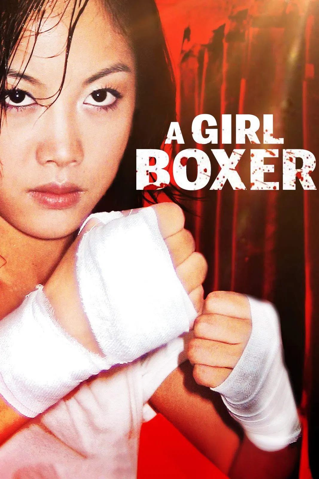 Poster chính thức của phim Phim Hành Động "Cô Nàng Quyền Anh" (A Girl Boxer - 2004), với sự tham gia của diễn viên Hanabi Kim và Marco Ngai Chun-Git.