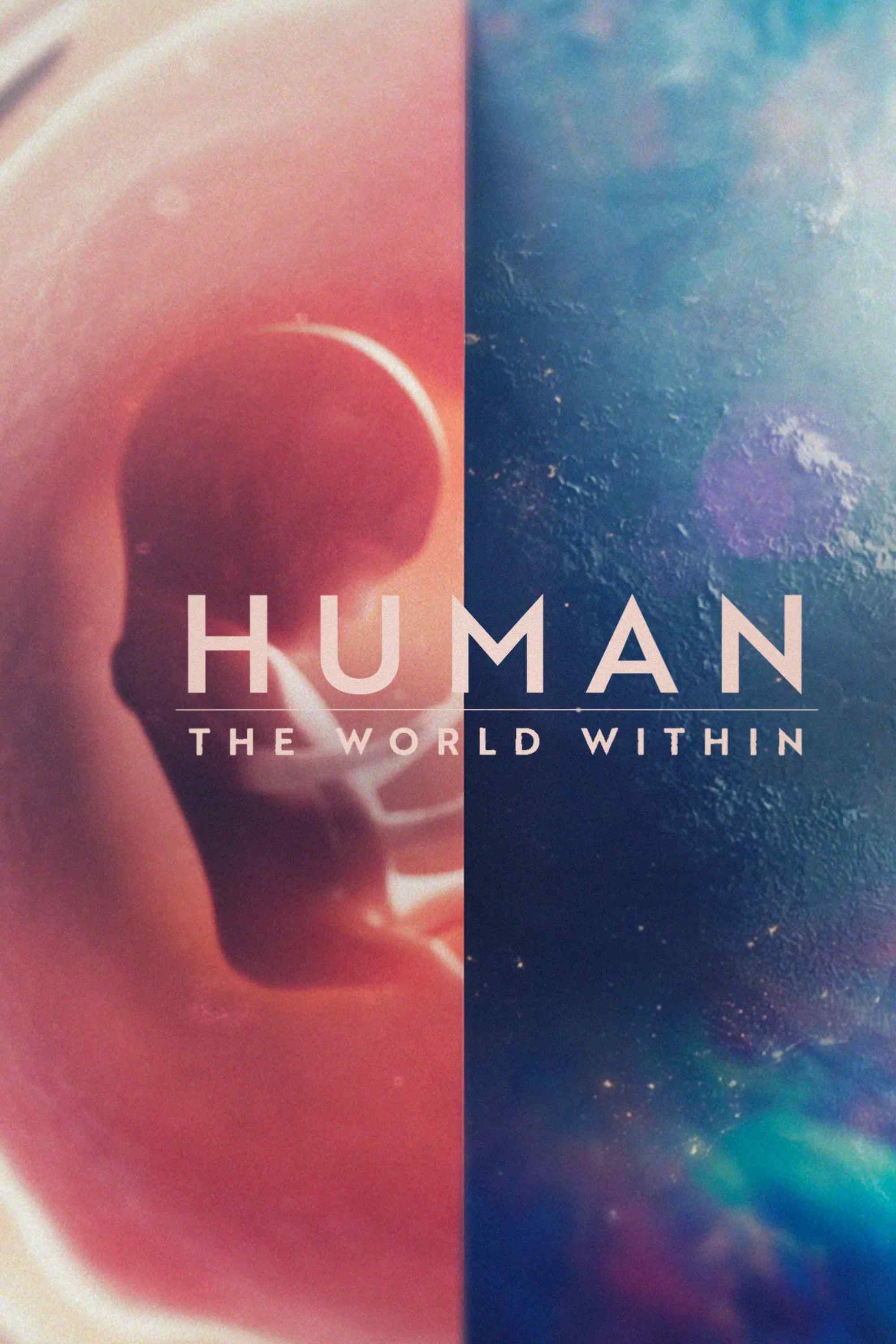 Poster chính thức của phim Phim Tài Liệu "Con người: Thế giới bên trong cơ thể" (Human: The World Within - 2021), với sự tham gia của diễn viên Jad Abumrad.