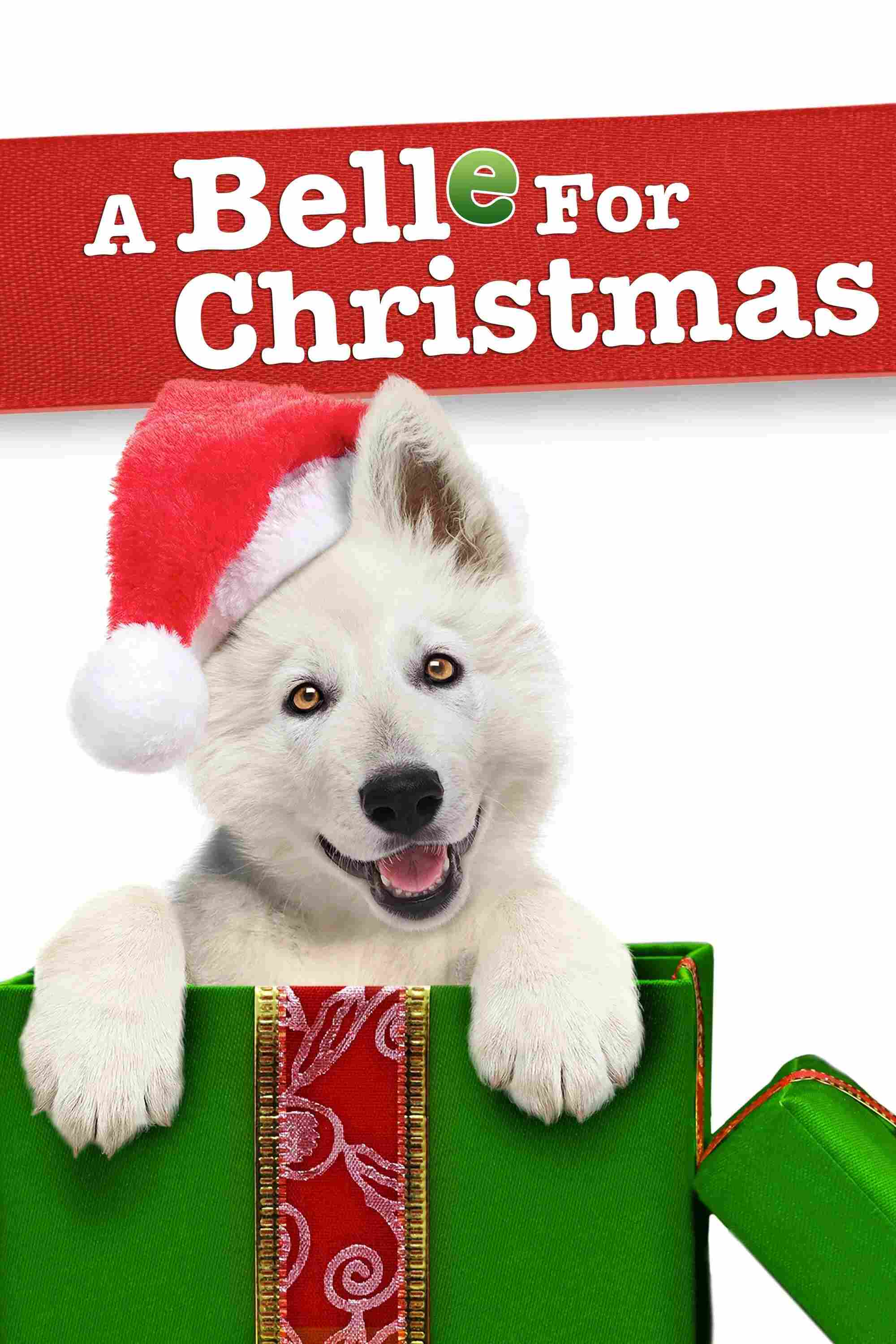 Poster chính thức của phim Phim Gia Đình "Cún Belle và Giáng sinh" (A Belle for Christmas - 2014), với sự tham gia của diễn viên Dean Cain và Kristy Swanson.