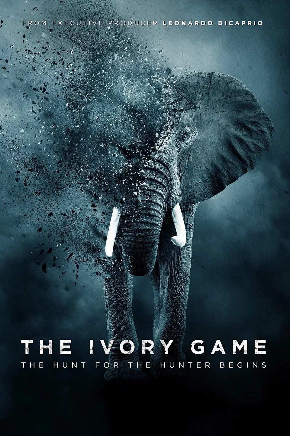Poster chính thức của phim Phim Tài Liệu "Cuộc Chiến Ngà Voi" (The Ivory Game - 2016).