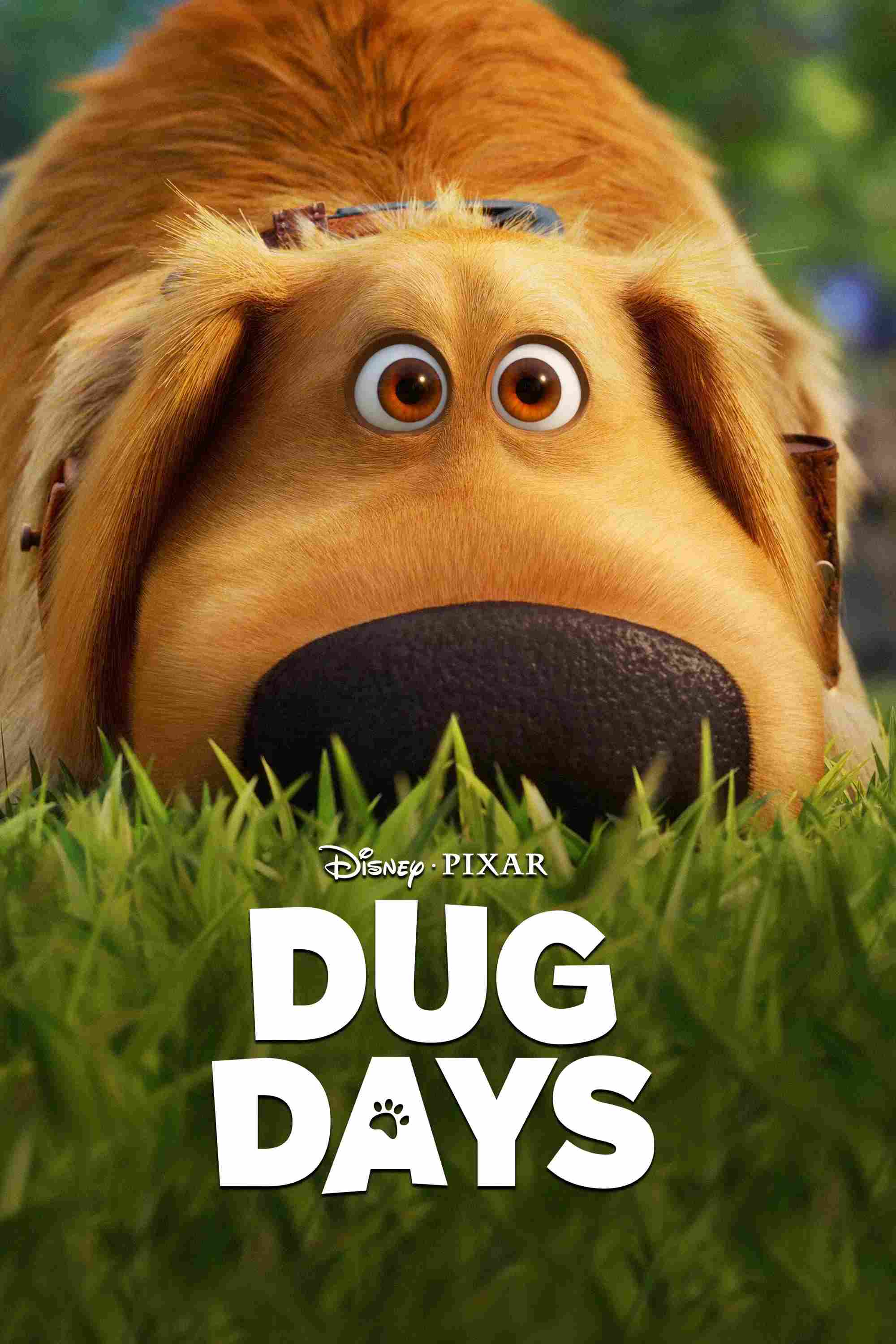 Poster chính thức của phim Phim Hoạt Hình, Phim Hài "Cuộc Phiêu Lưu Của Dug" (Dug Days - 2021), với sự tham gia của diễn viên Bob Peterson và Ed Asner.