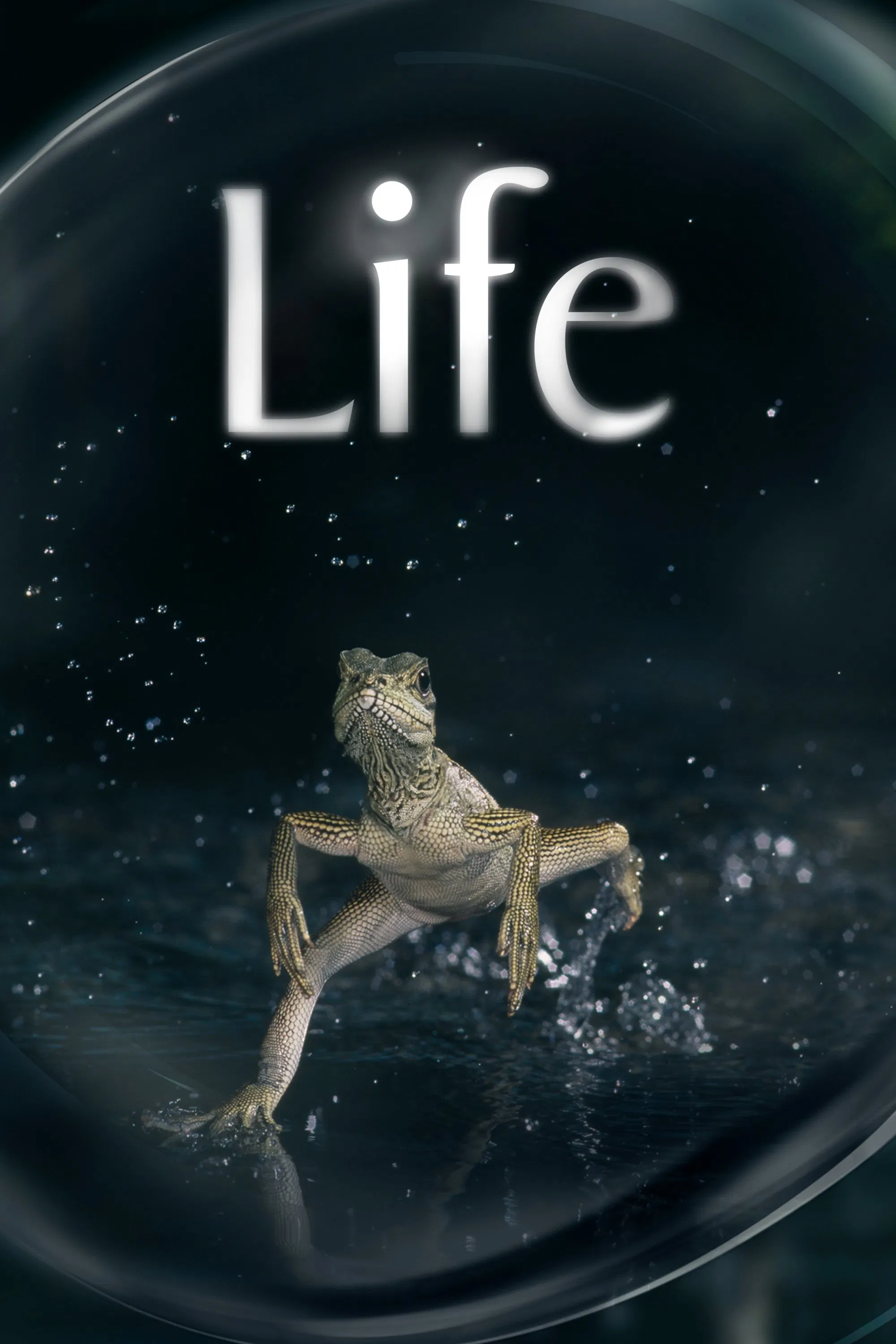 Poster chính thức của phim Phim Tài Liệu "Cuộc Sống Hoang Dã" (Life - 2009), với sự tham gia của diễn viên David Attenborough và Oprah Winfrey.