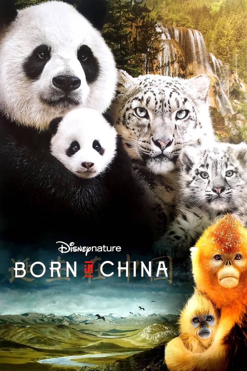 Poster chính thức của phim Phim Tài Liệu "Cuộc Sống Hoang Dã Ở Trung Quốc" (Born in China - 2016), với sự tham gia của diễn viên John Krasinski và Châu Tấn.