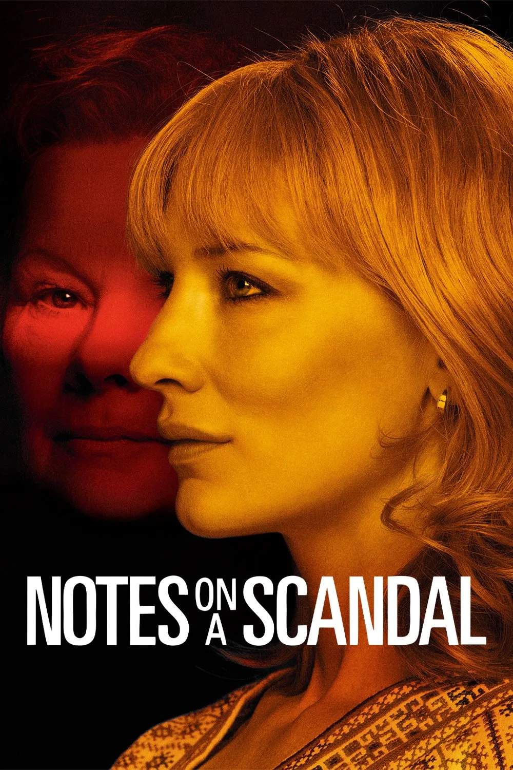 Poster chính thức của phim Phim Tâm Lý, Phim Tình Cảm "Cuốn Nhật Ký Phản Chủ" (Notes on a Scandal - 2006), với sự tham gia của diễn viên Judi Dench và Cate Blanchett.