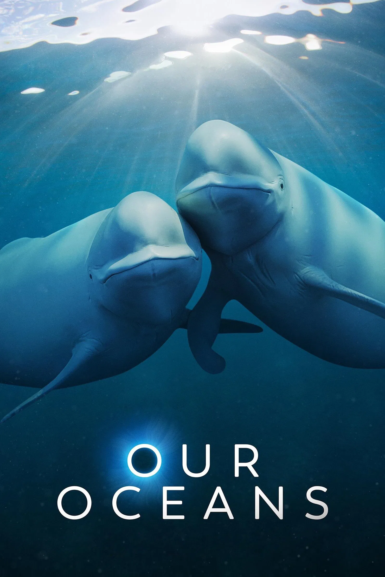 Poster chính thức của phim Phim Tài Liệu "Đại dương của chúng ta" (Our Oceans - 2024), với sự tham gia của diễn viên Barack Obama.
